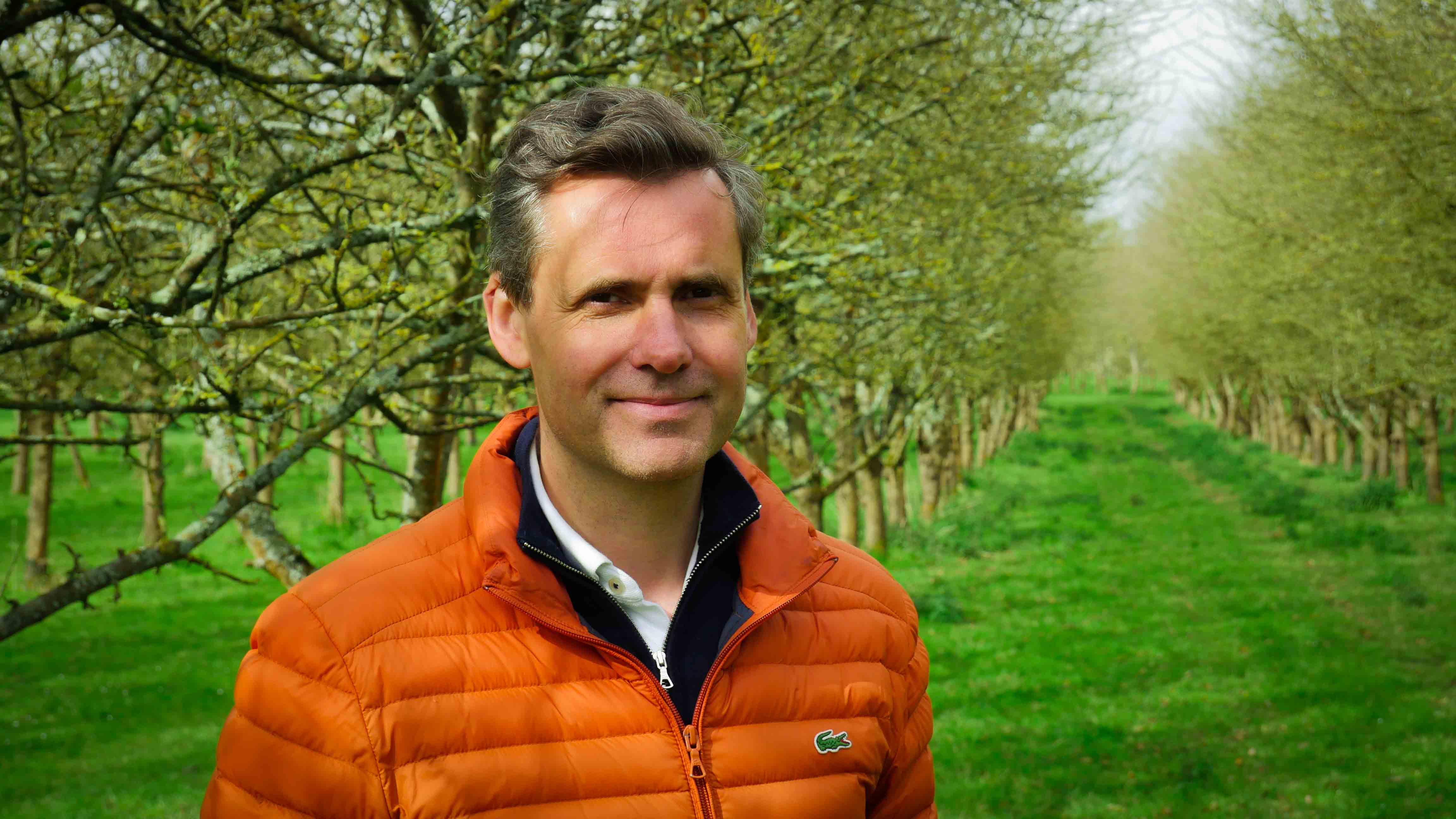 Extension of an organic apple orchard in Brittany — 1