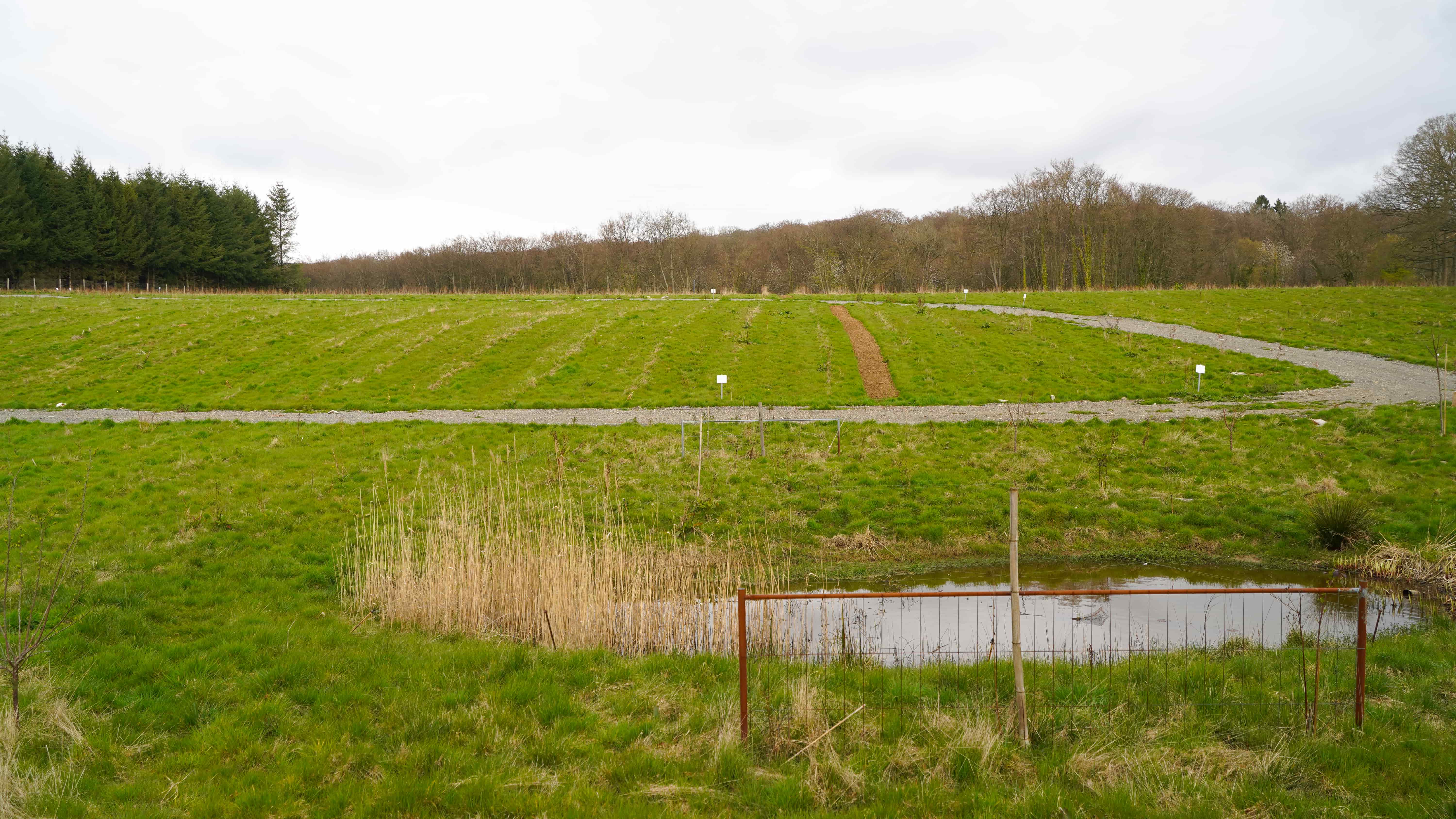 Creation of an ecological corridor at Imbleville — 1