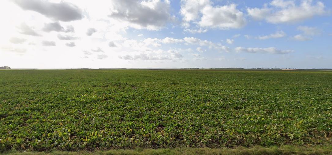 Projet bas carbone agricole dans une exploitation de Vincent Loisel à Bonvillers — 2