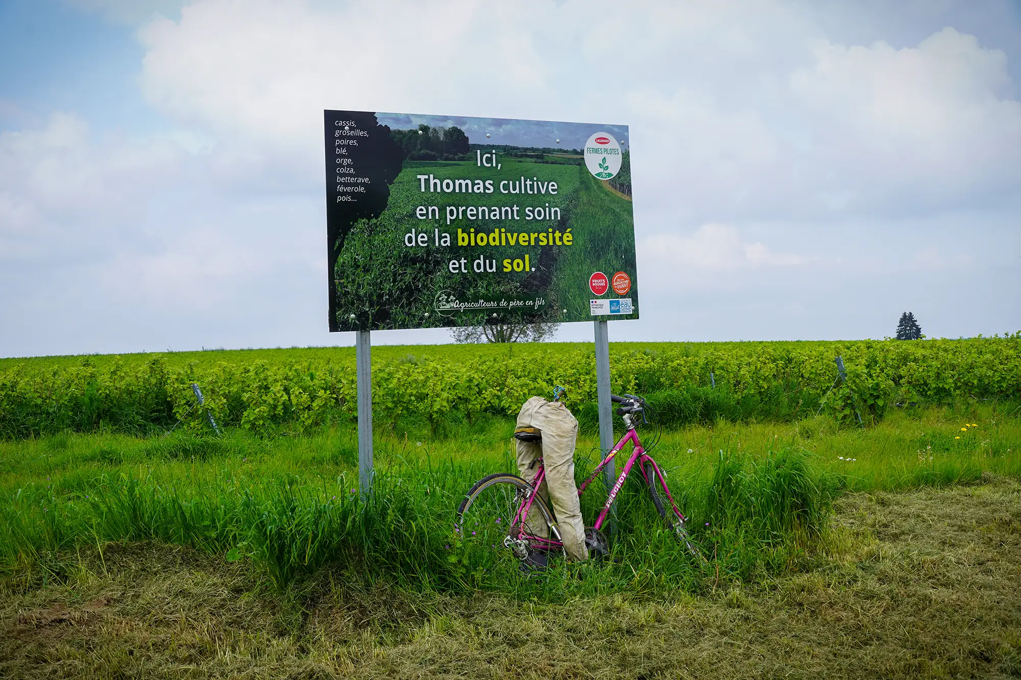Nouvelles pratiques agricoles dans l'exploitation de Thomas Doutreluingne à Marolles — 1
