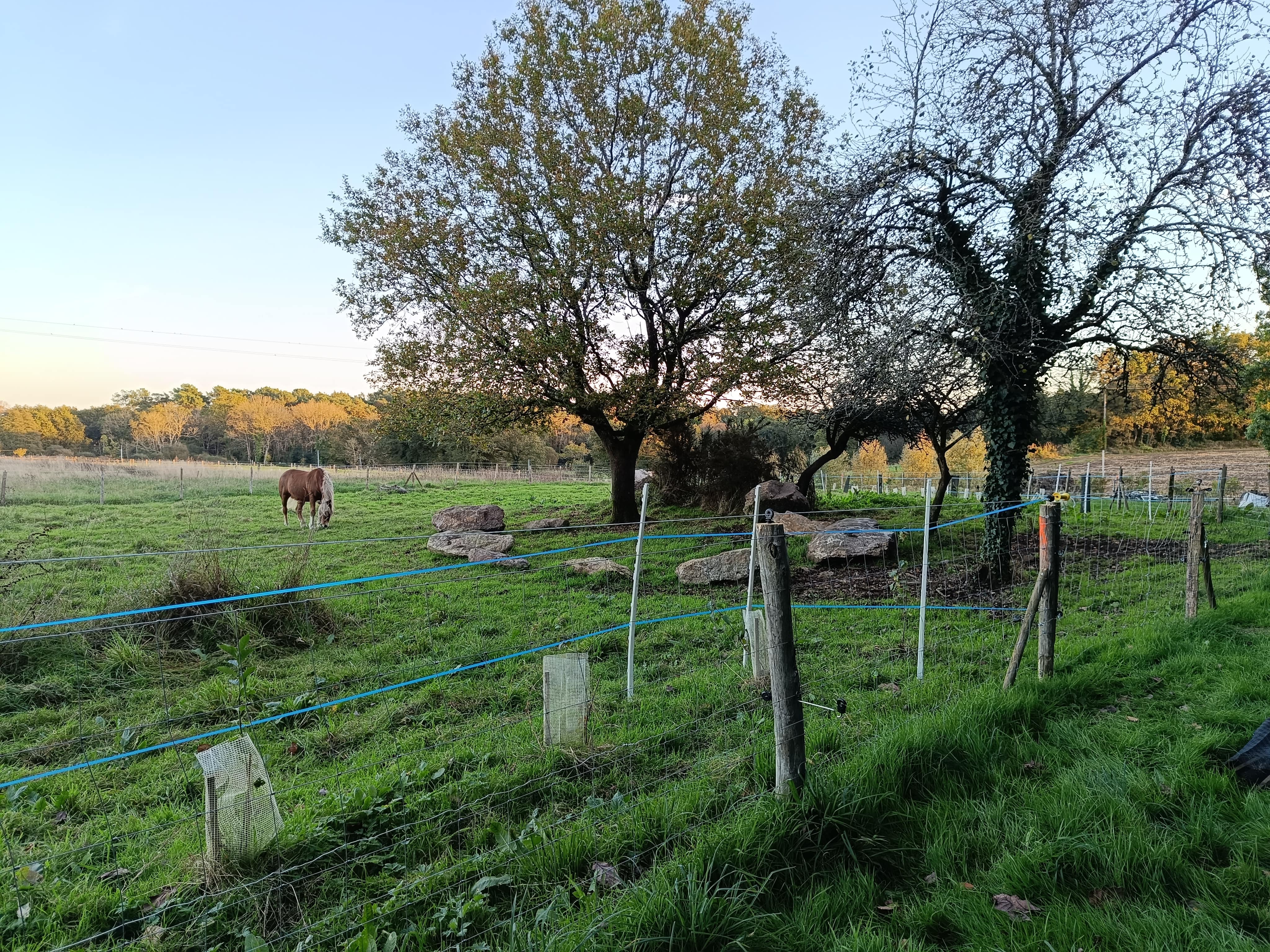 Extension de haies champêtres à la SCI Terre d'Illich — 1