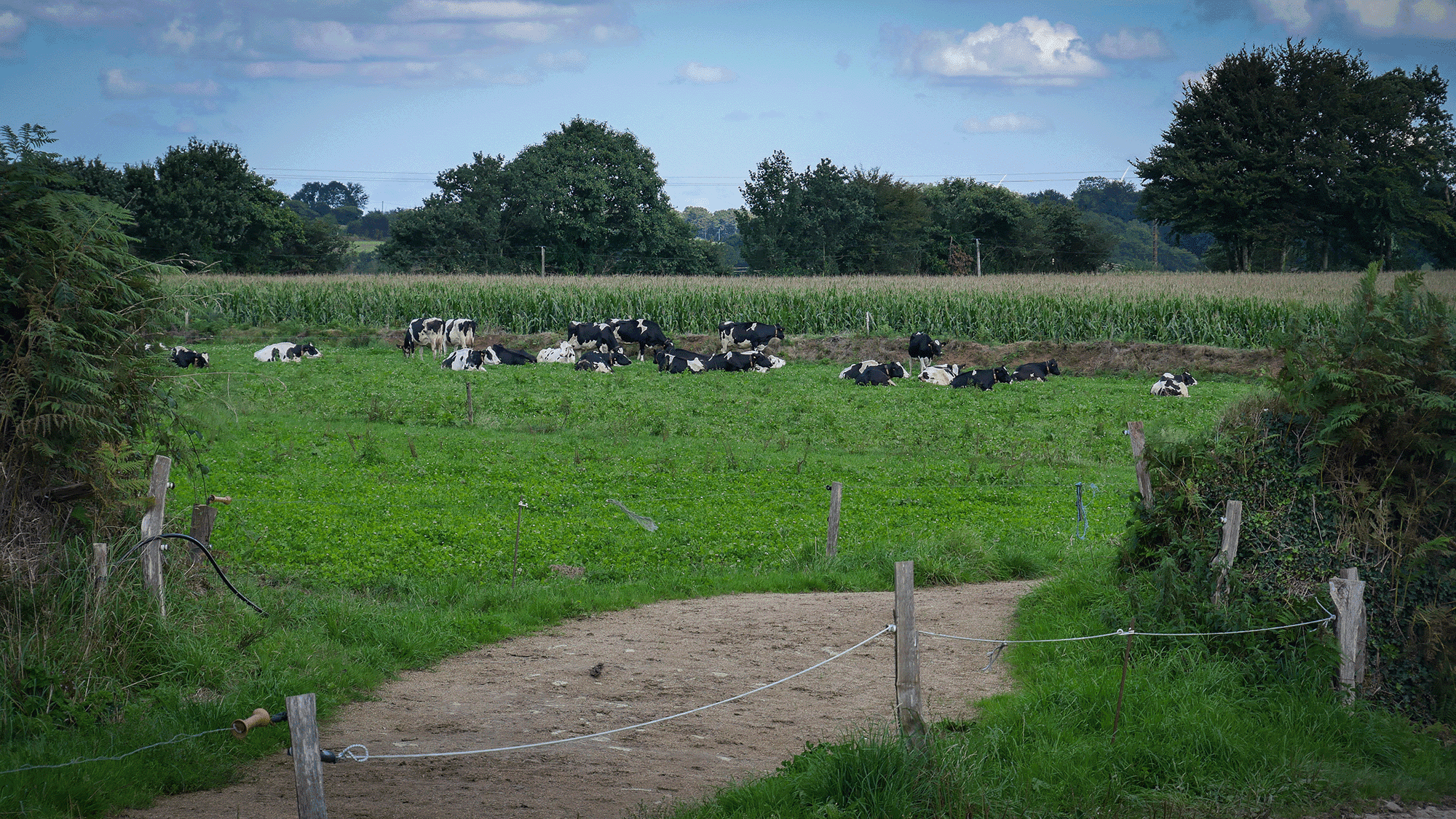 Projet Ecométhane dans le Finistère