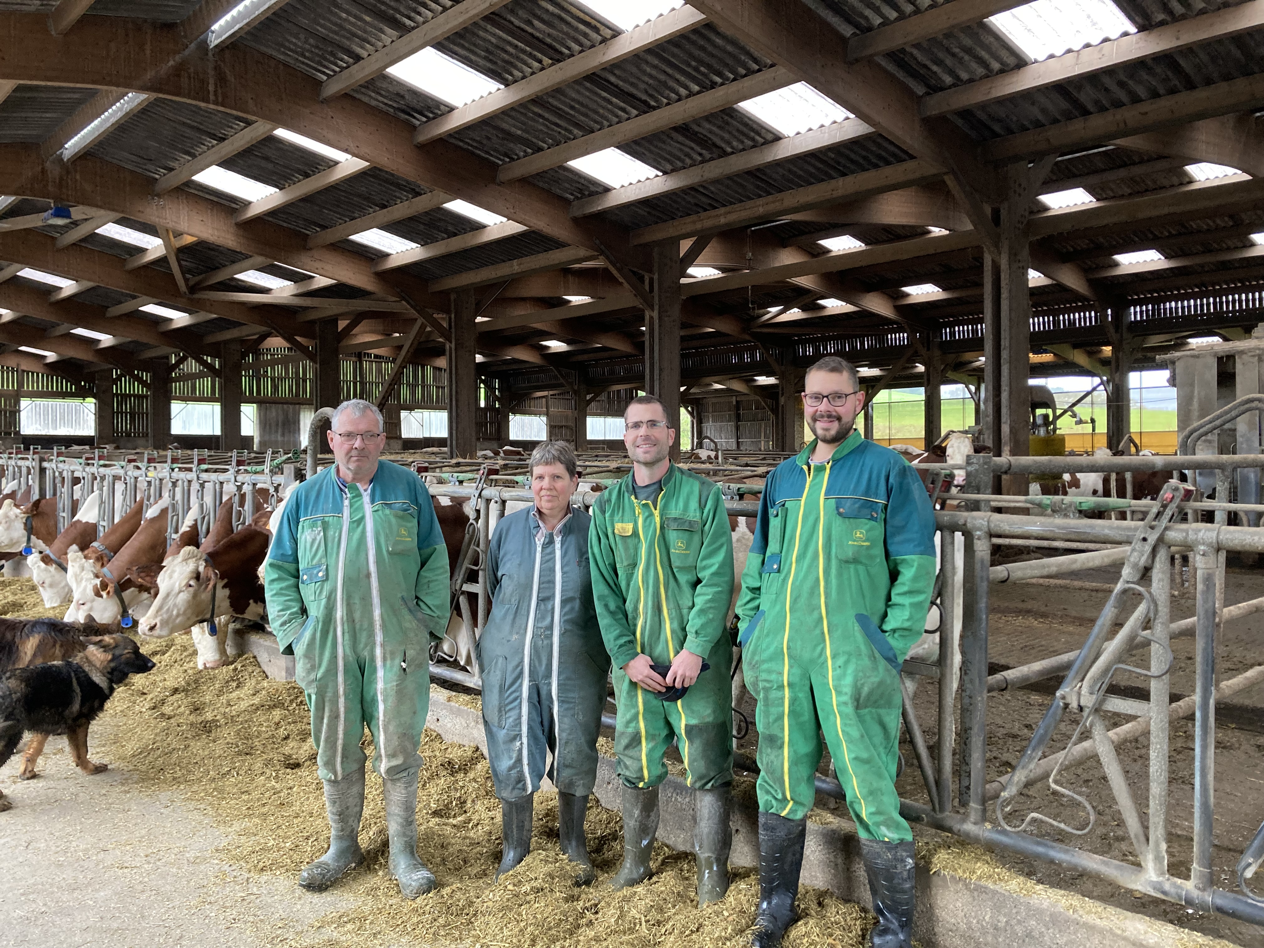 Change of feed on a dairy farm in the Haute-Marne department of France
