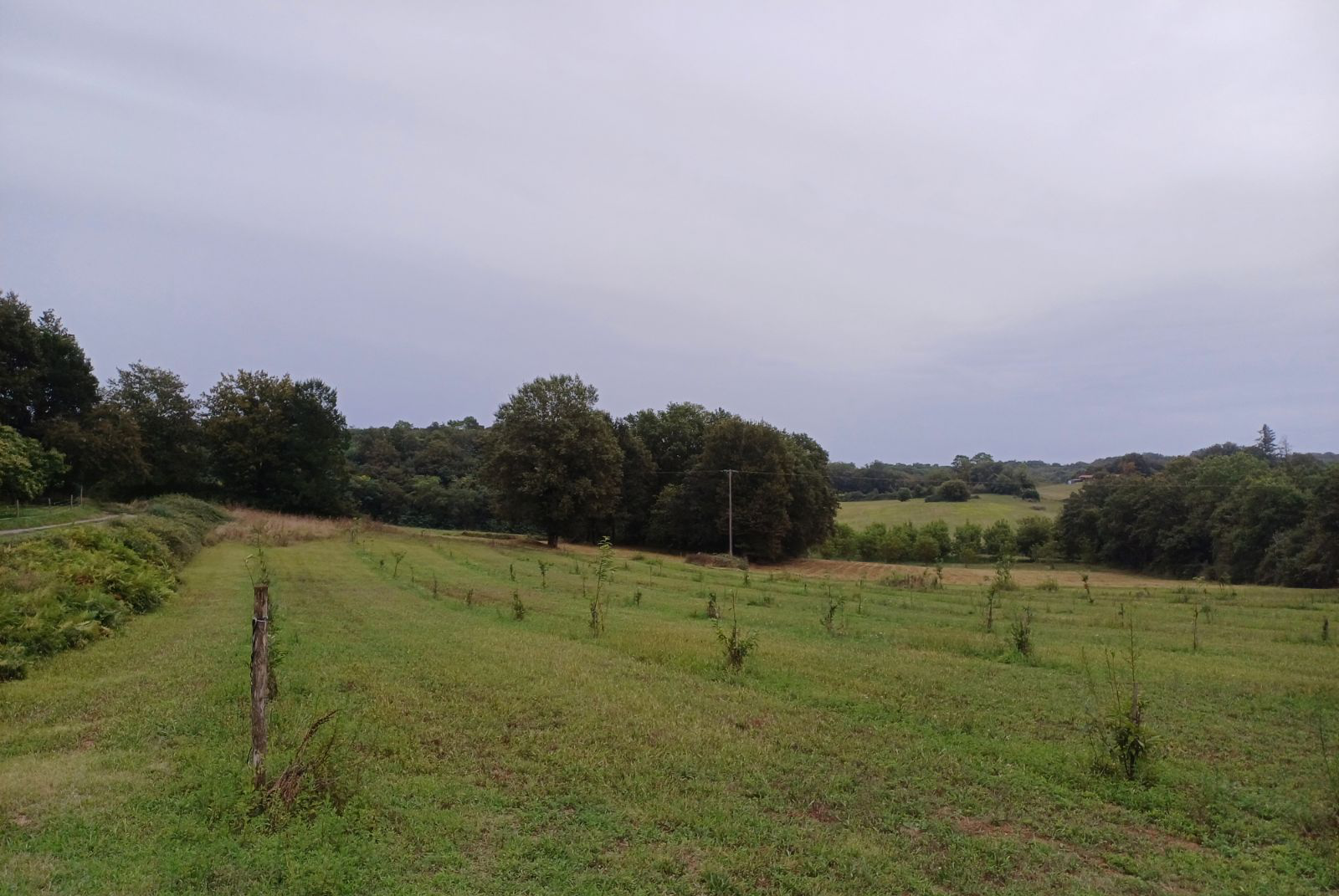 Jean-Roland Lavergne farm — 2