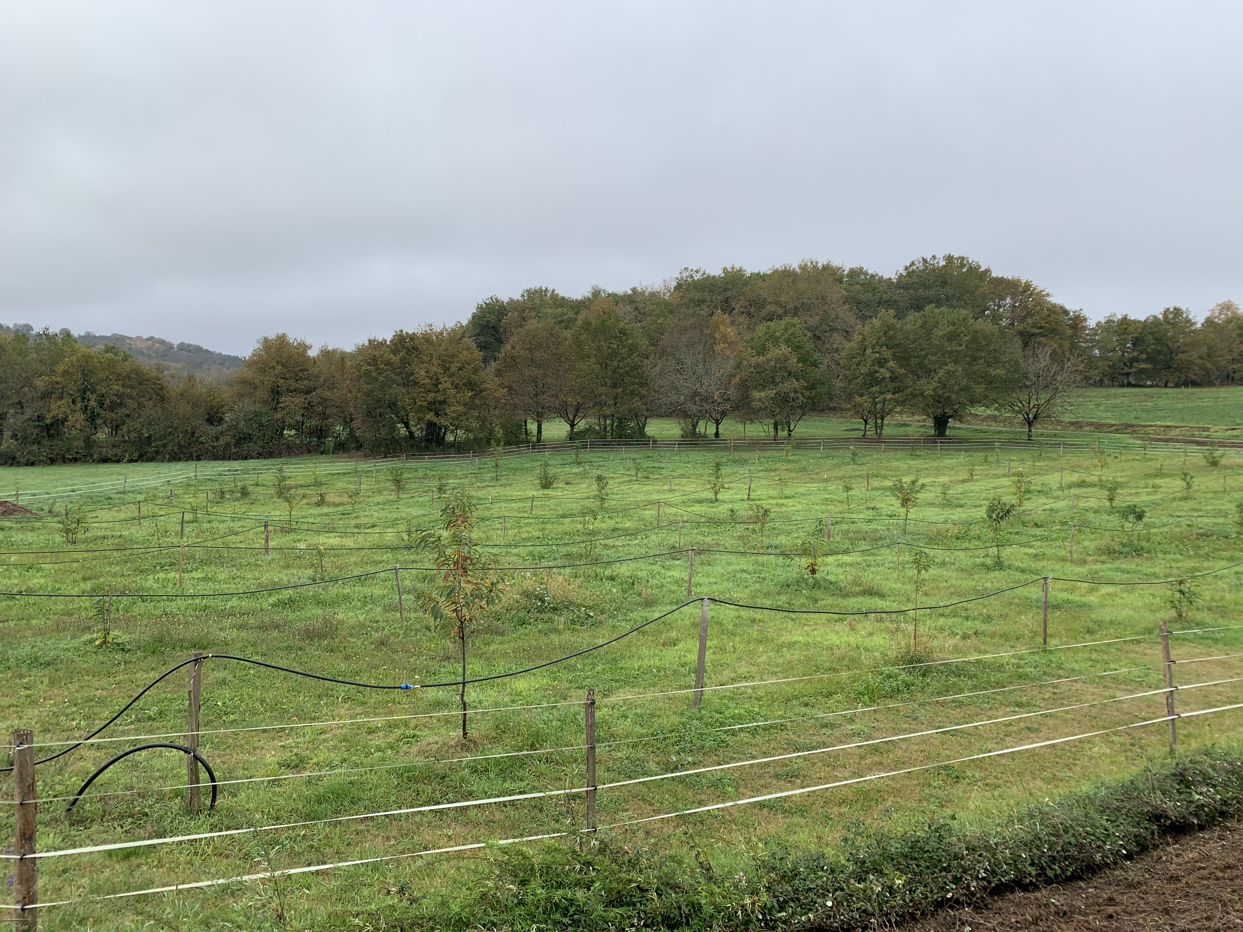 Jean-Roland Lavergne farm