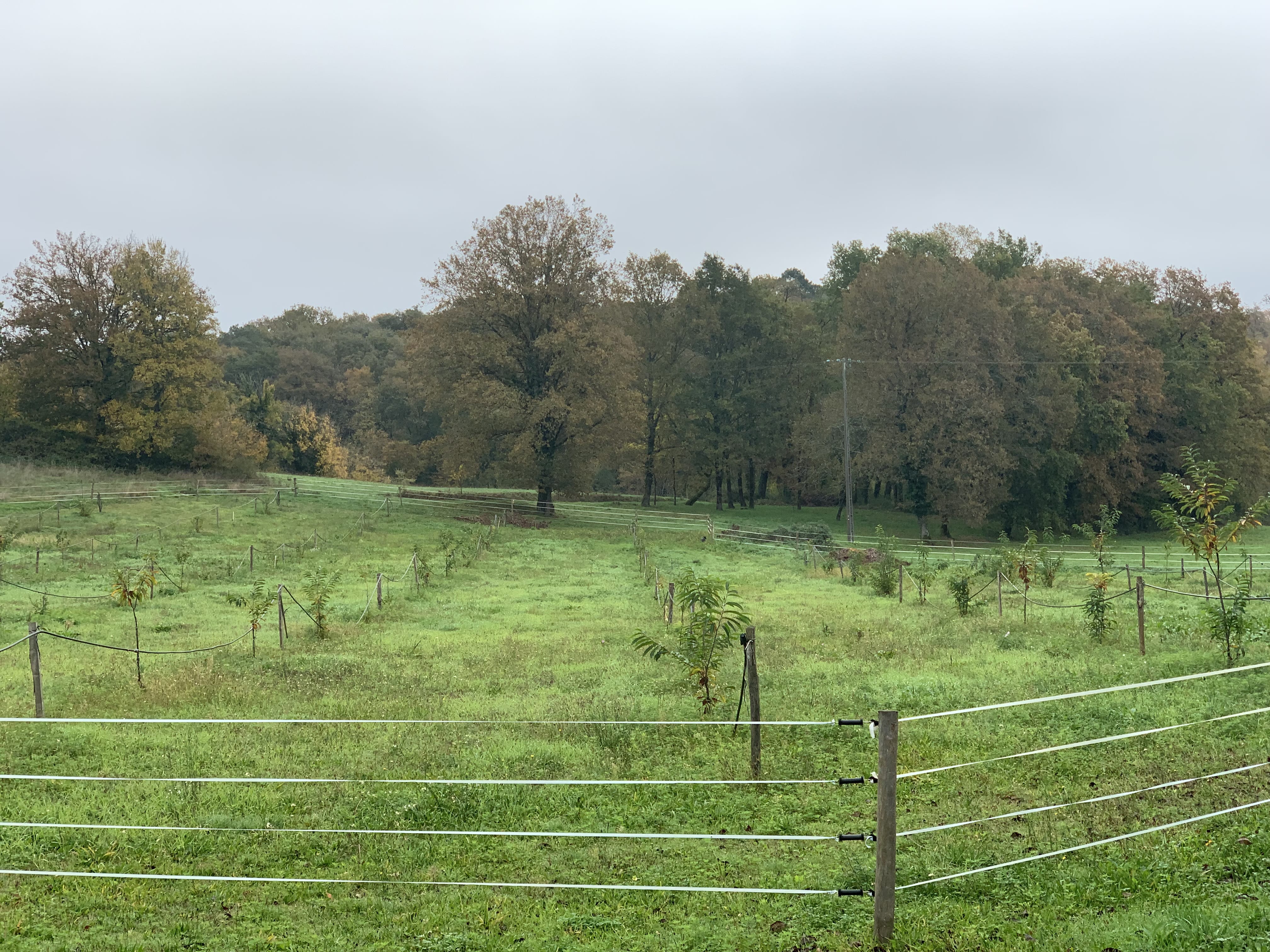 Jean-Roland Lavergne farm — 1