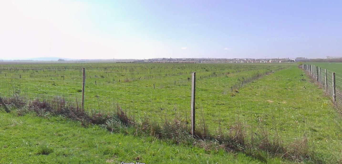 Plantation de Noisetiers à Silly-le-Long — 1