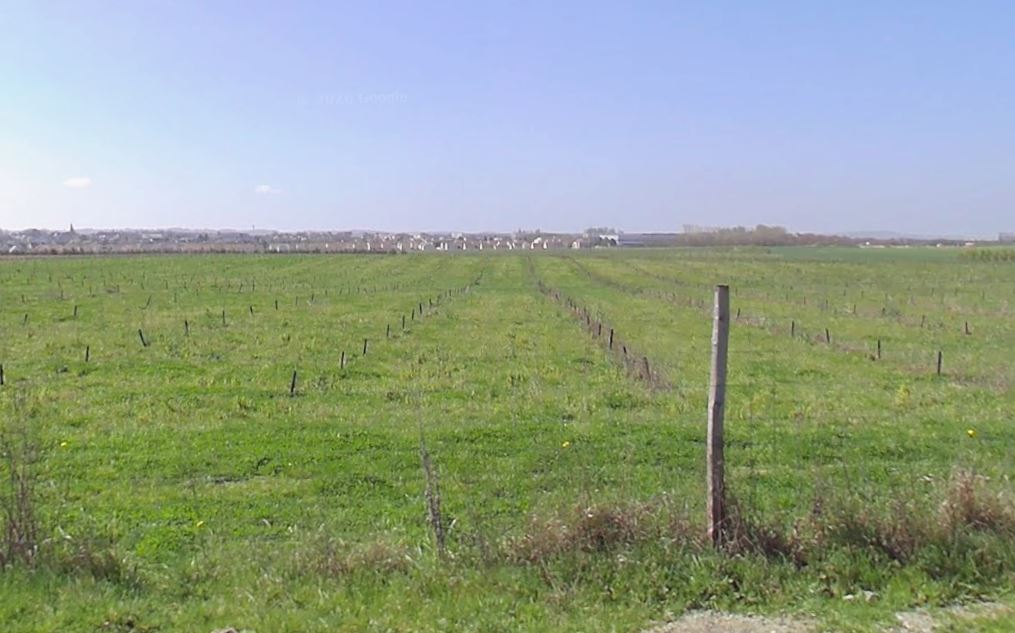 Plantation de Noisetiers à Silly-le-Long