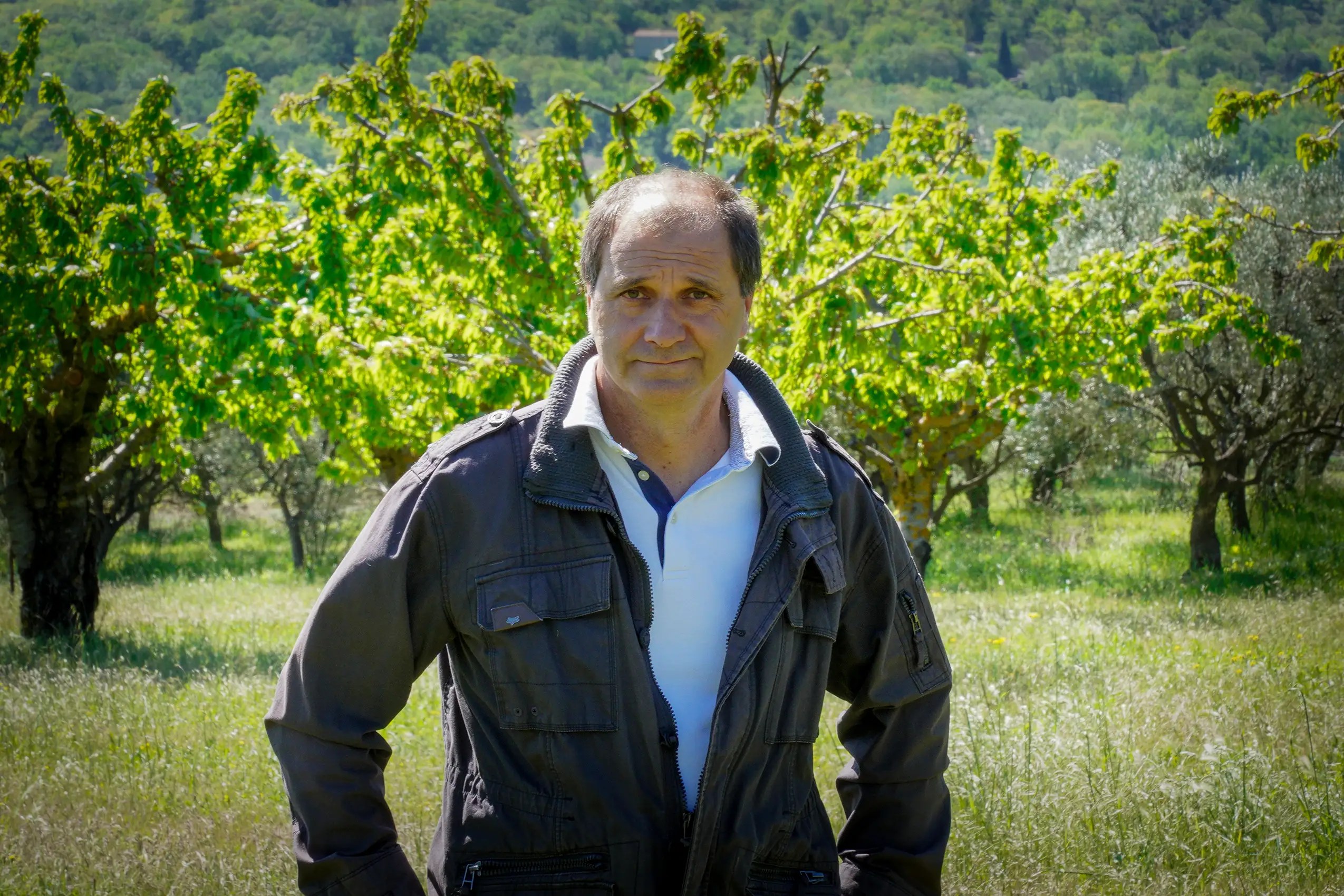 Plantation de cerisiers à l'EARL les Tilleuls — 1