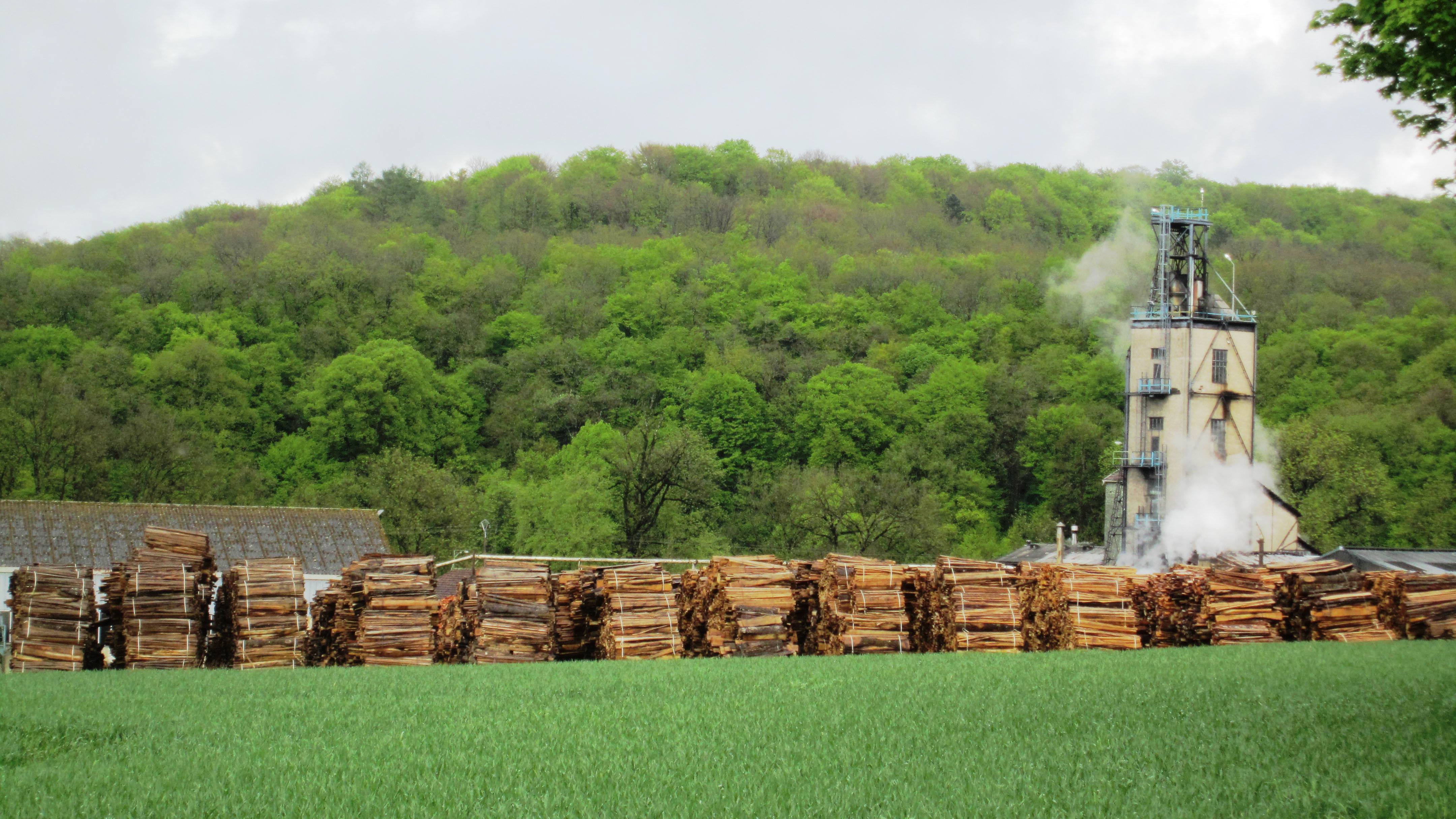 Projet Bordet : Un biochar de haute qualité produit en Bourgogne — 1