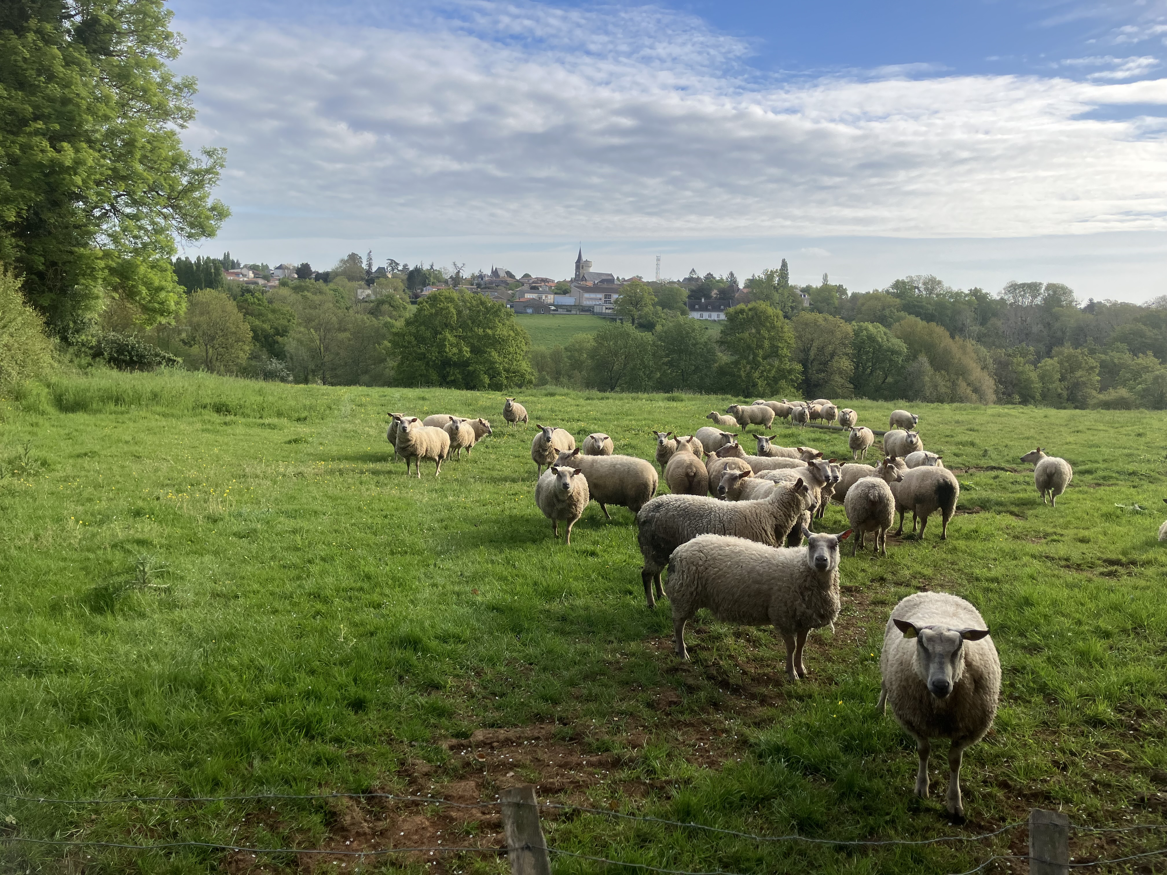 Projet bas-carbone agricole à la SCEA Berardengo — 1