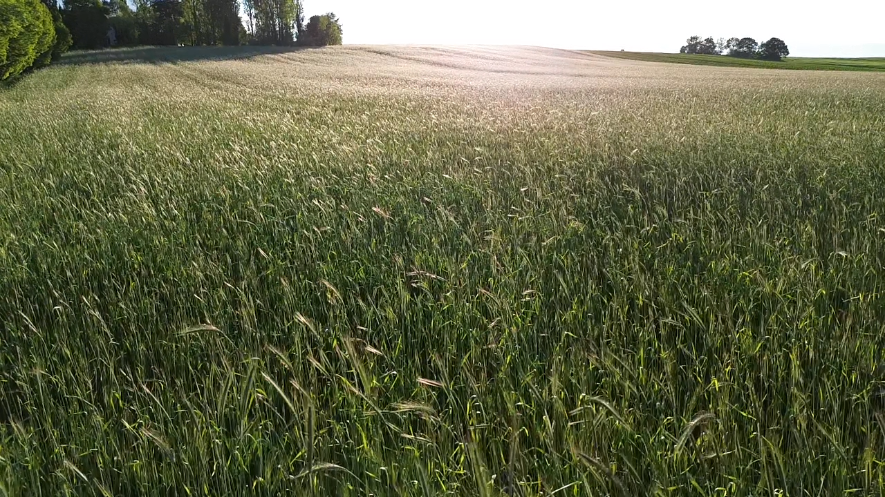 Projet bas-carbone agricole à la SCEA La Moutole — 2