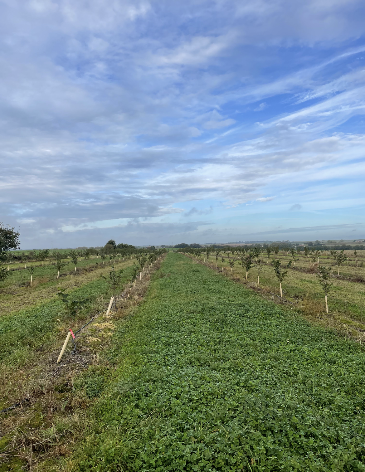 La Ferme de L'Ouchette — 2
