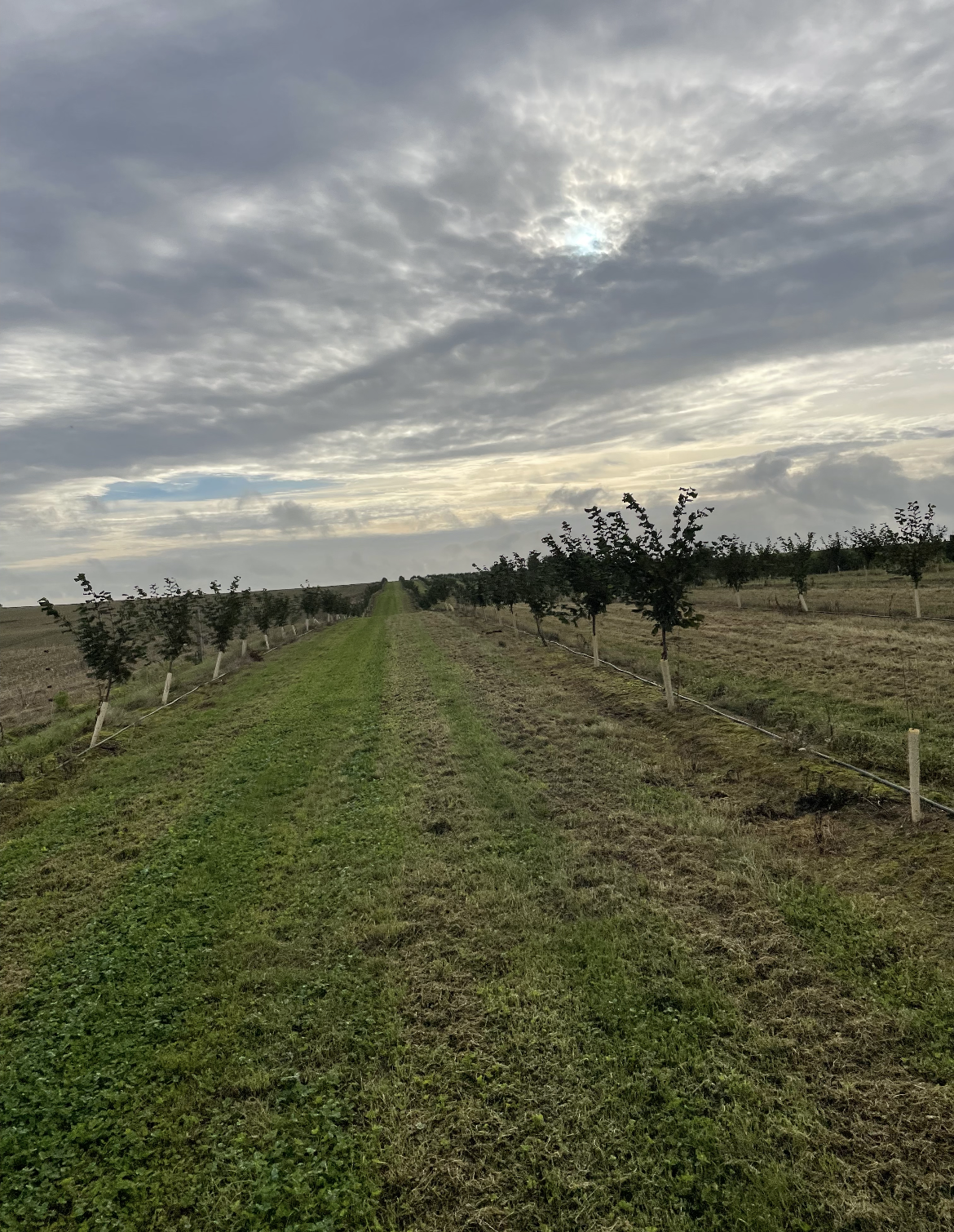 La Ferme de L'Ouchette — 1