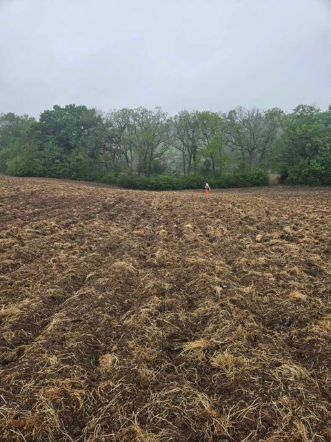 Création de 3,9 hectares de forêts à Cocumont — 1