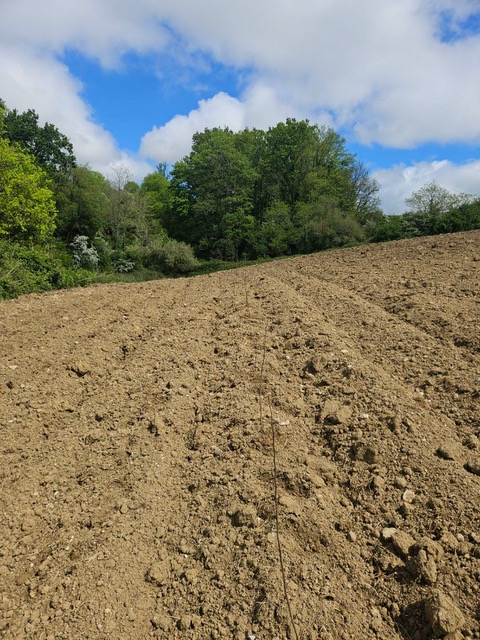 Création de 3,9 hectares de forêts à Cocumont — 2