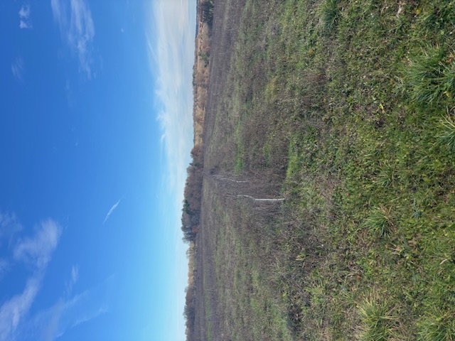 Walnut trees and truffles in the Green Périgord with Florence Verheyen — 1