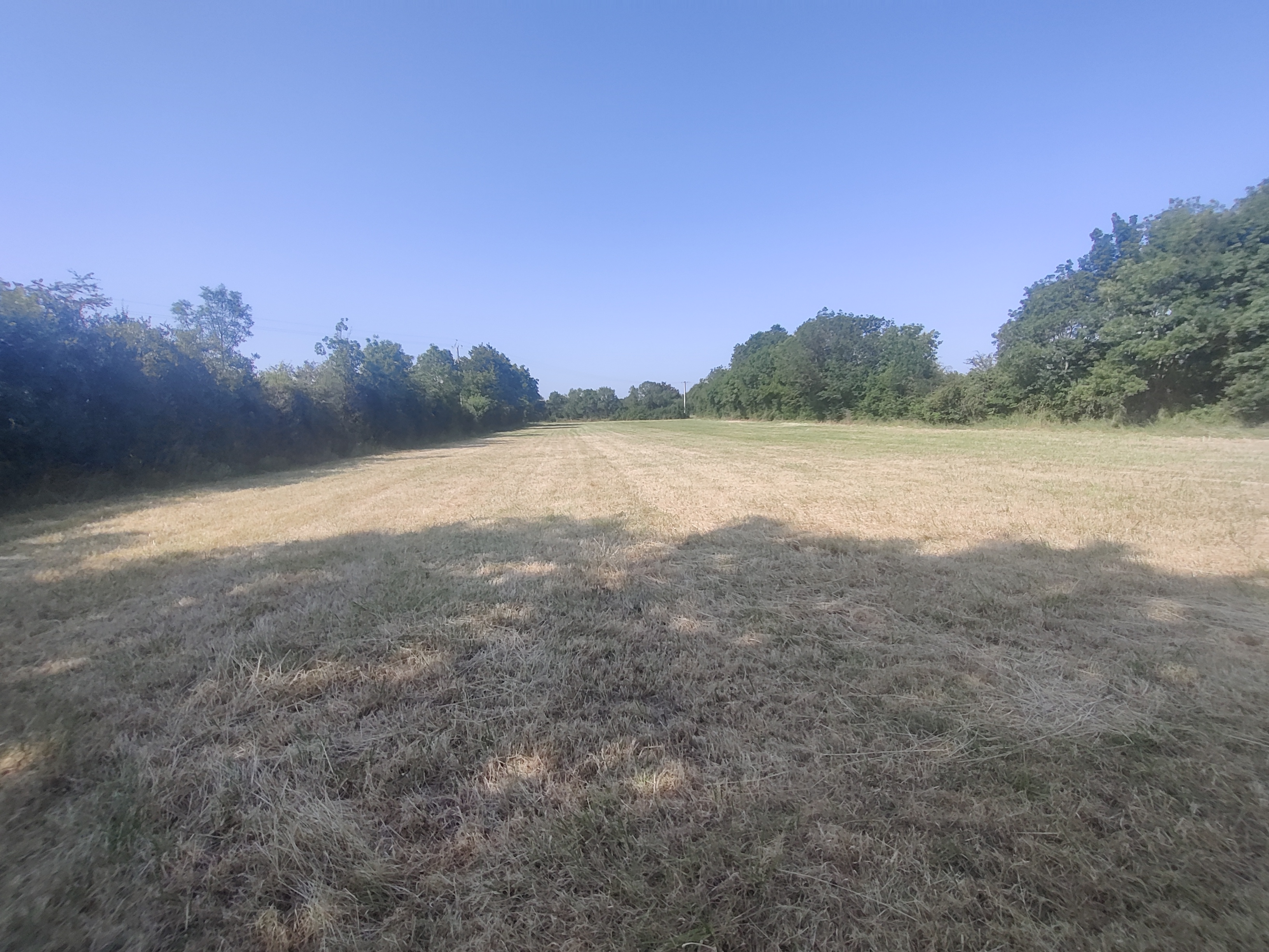 Nouveau boisement de 8,7 hectares à Savennières — 2