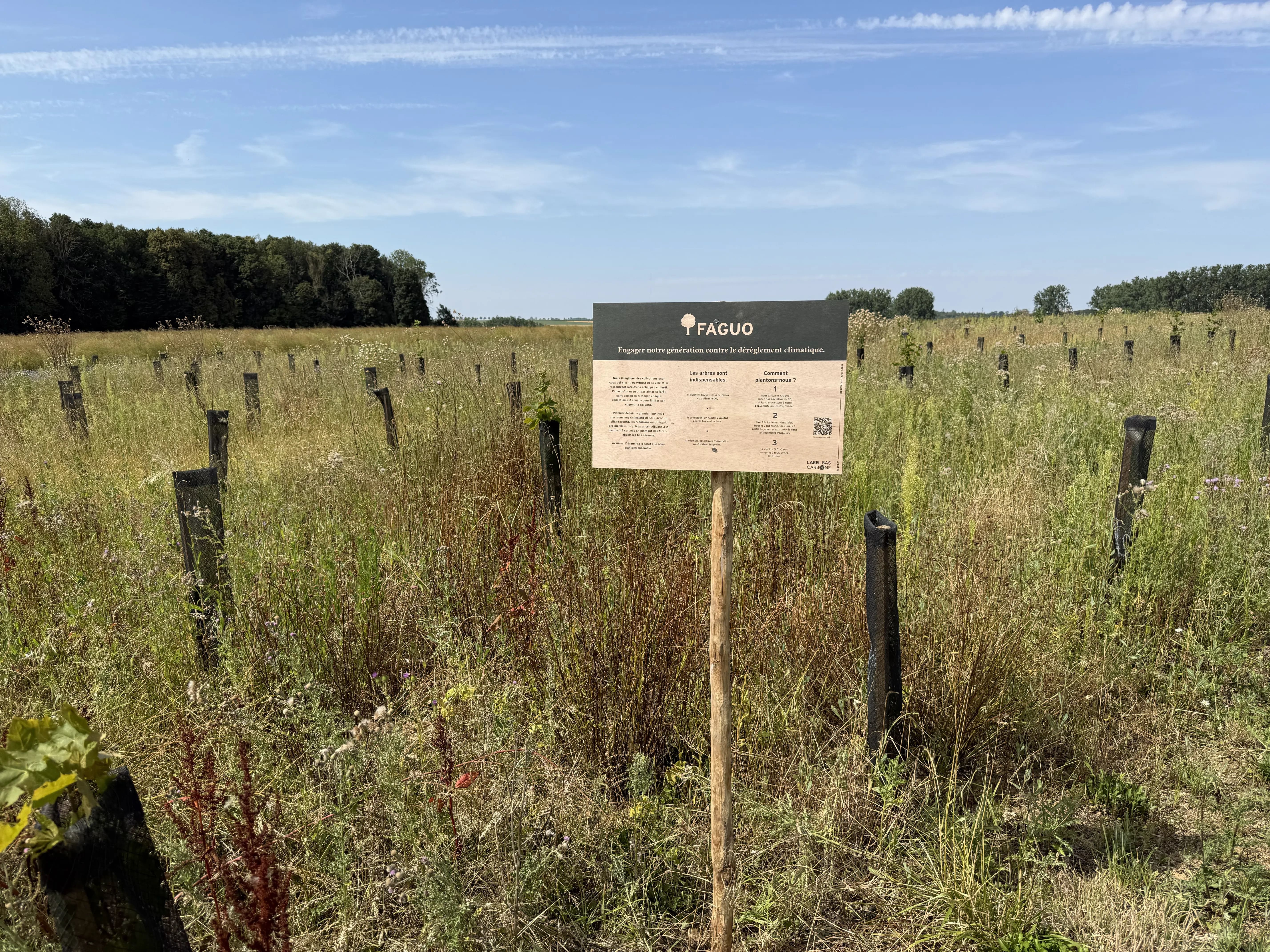Boisement diversifié de 2,26 hectares dans le Pas-de-Calais