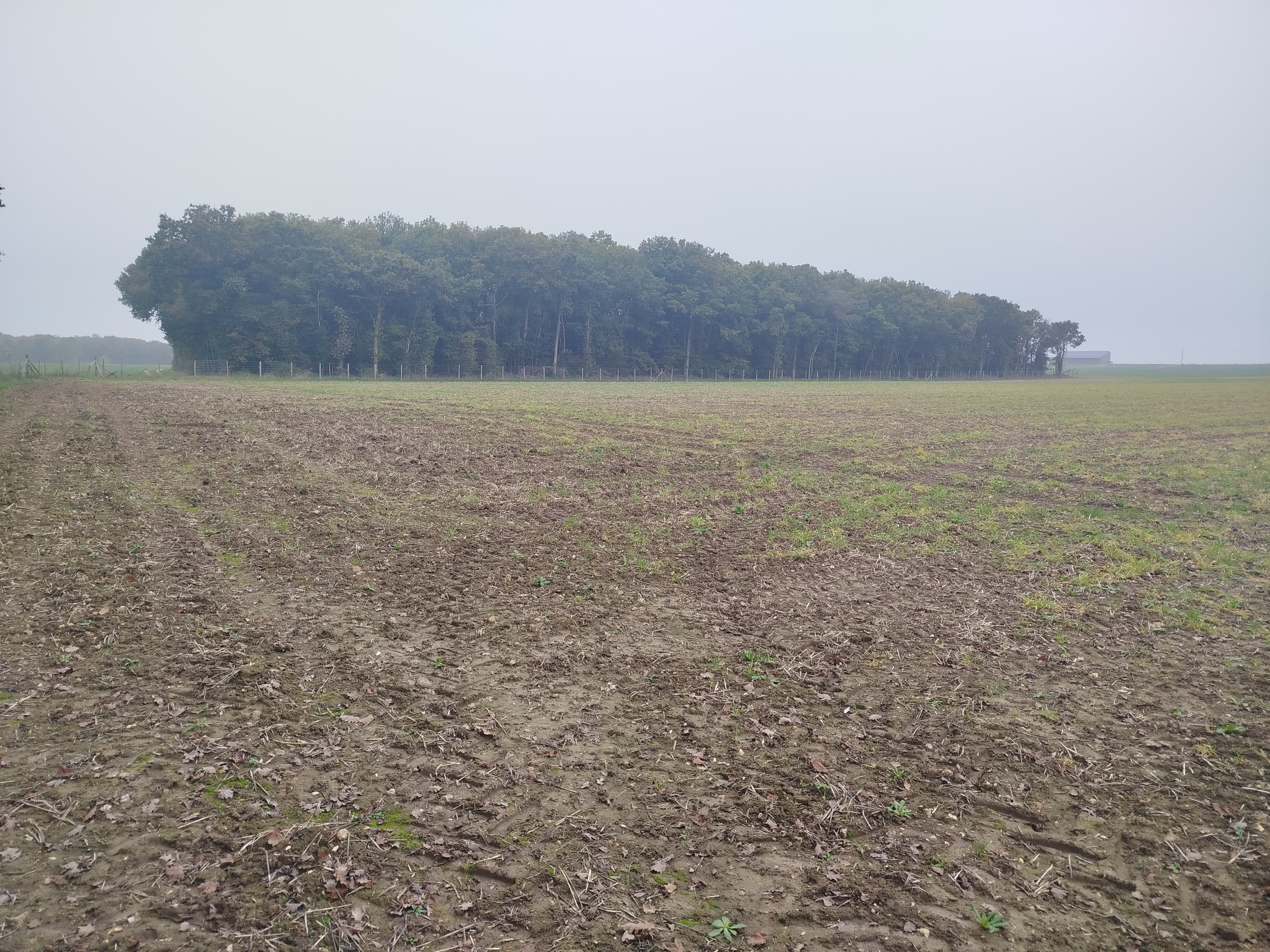 Extension d'un verger à Coulombs dans l'Eure-et-Loir — 1