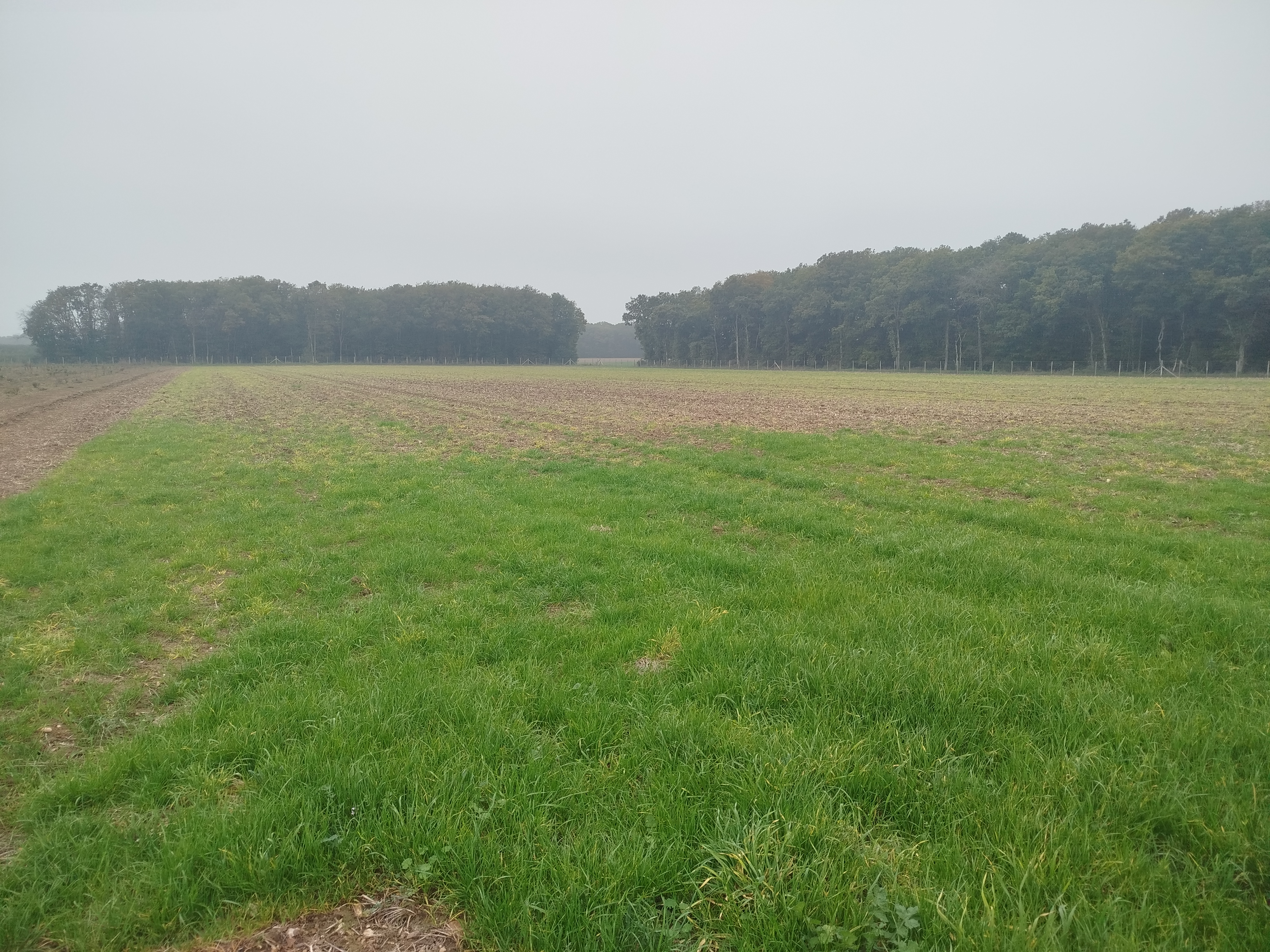 Extension d'un verger à Coulombs dans l'Eure-et-Loir