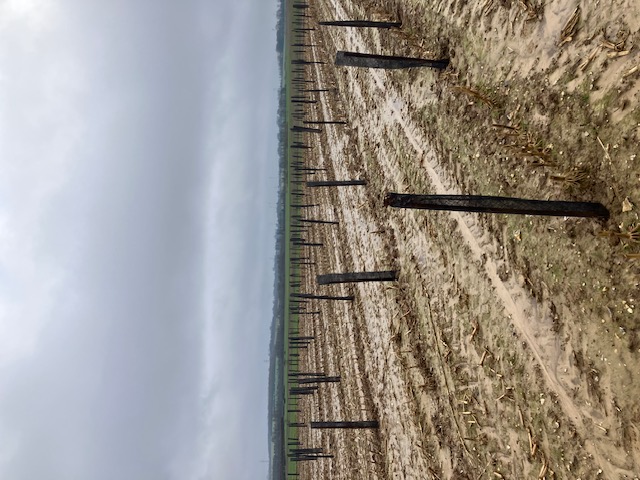 Boisement diversifié de 2,15 hectares à Verchocq — 1