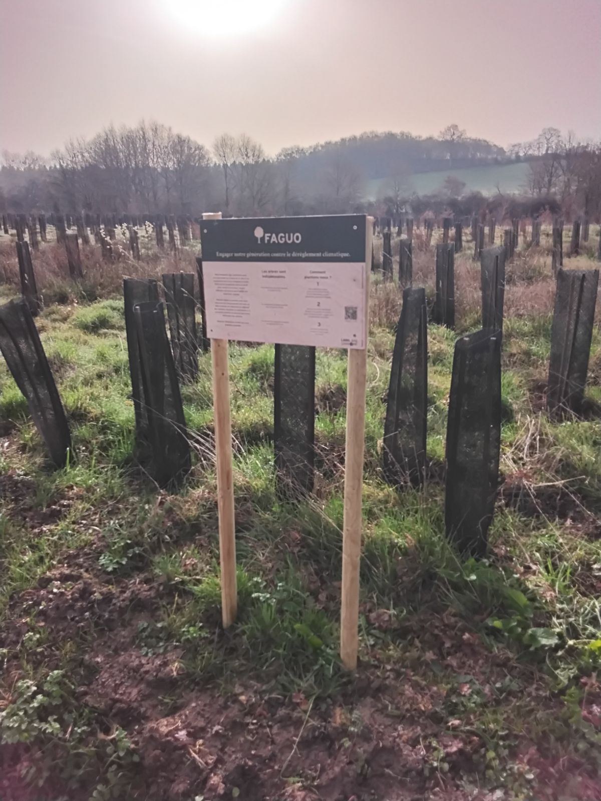 Boisement diversifié à Etang-sur-Arroux — 1