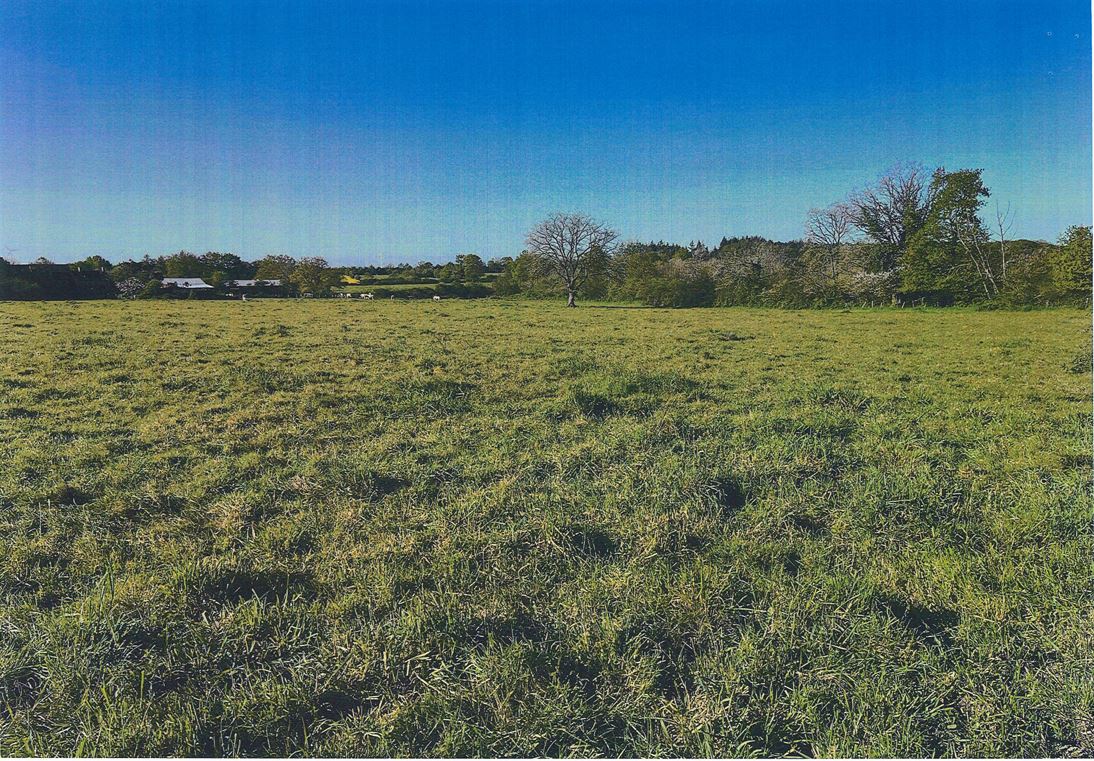 New 6.84 hectare afforestation in Vallons-de-l'Erdre