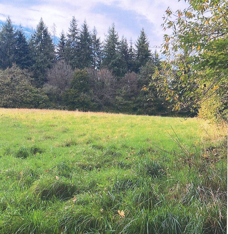 New 6.84 hectare afforestation in Vallons-de-l'Erdre — 1