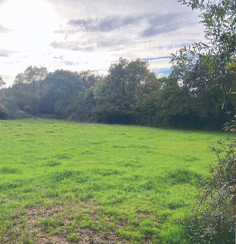 New 6.84 hectare afforestation in Vallons-de-l'Erdre — 2