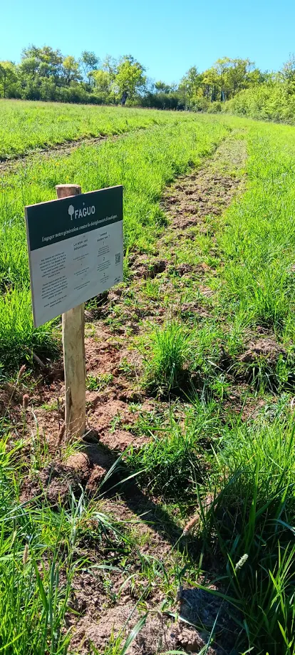 New afforestation of 5.76 hectares at Mozé-sur-Louet — 1