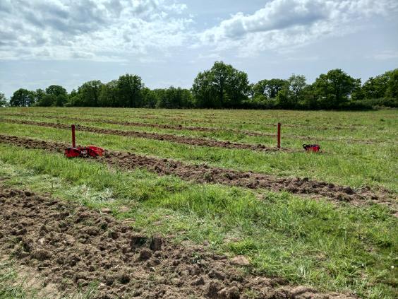 Boisement de 51,5 hectares dans la Vienne — 2