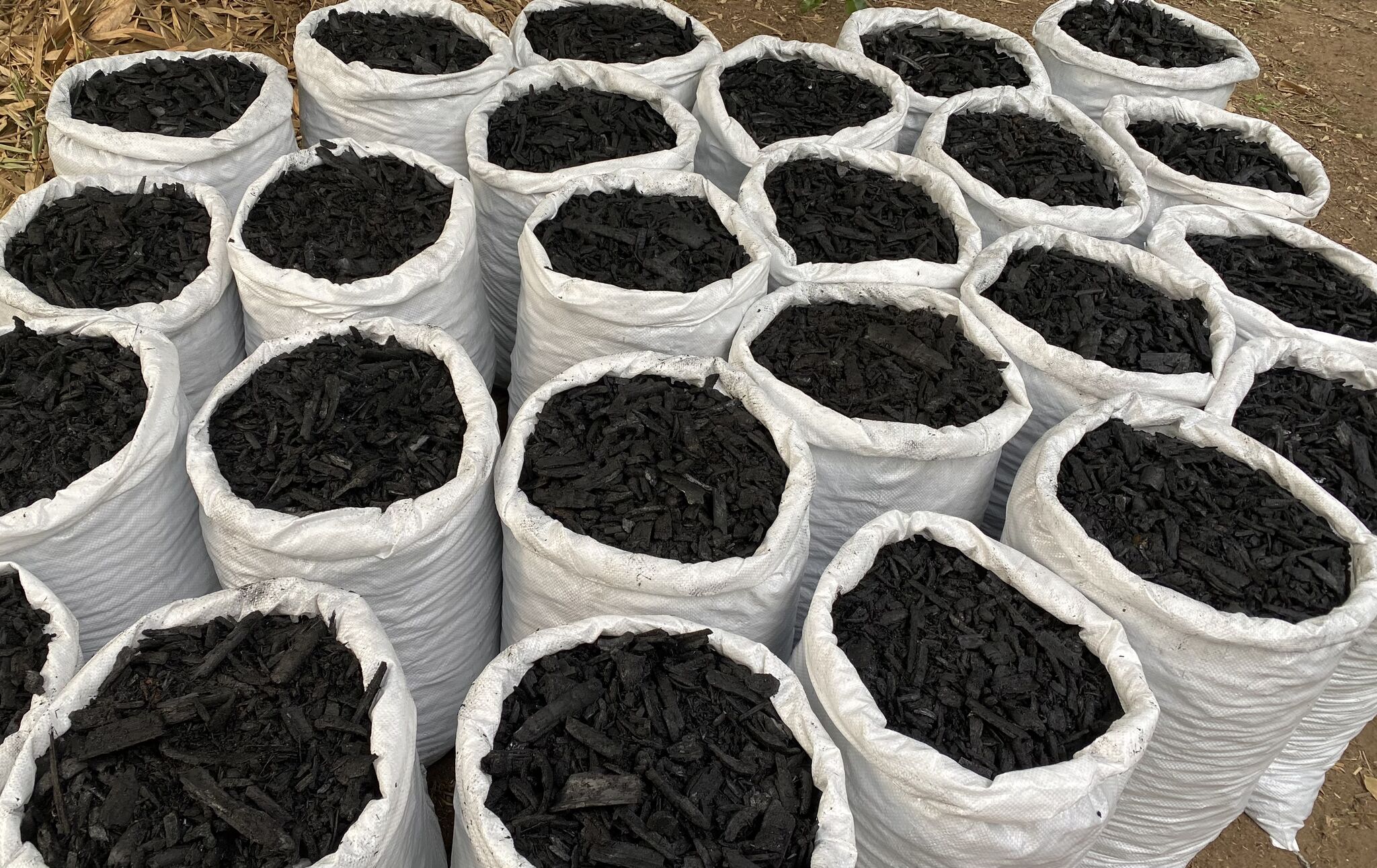 Biochar artisanal au Cameroun — 1