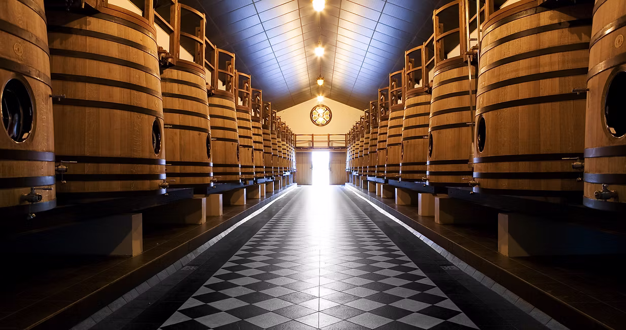 Energy production from vines waste at Château Pape Clément — 2