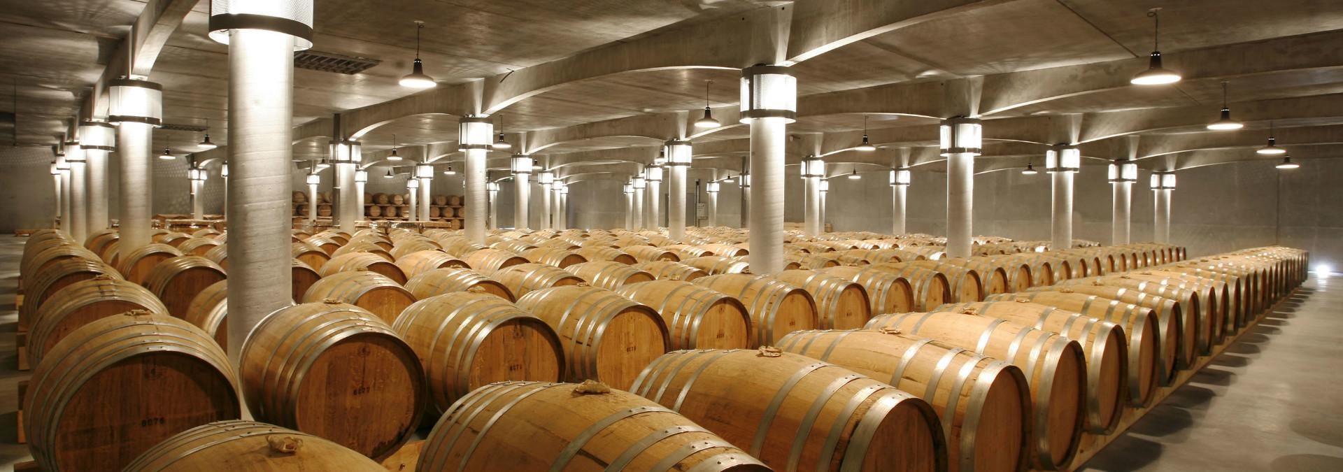 Energy production from vines in Charente-Maritime — 2