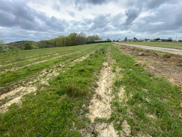 Création de 3,1 hectares de forêts à Berthez — 1