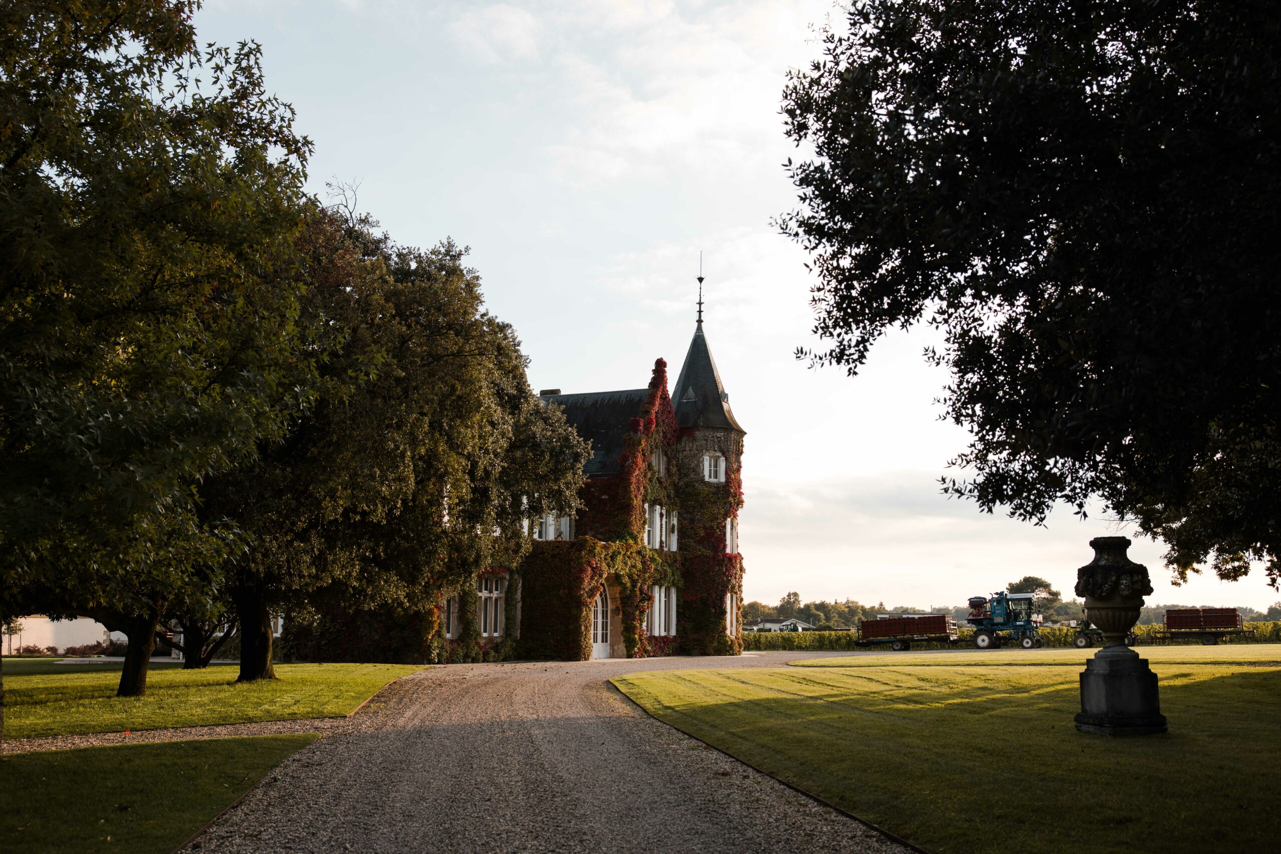 Valorisation de ceps de vignes en combustible biomasse à Margaux-Cantenac