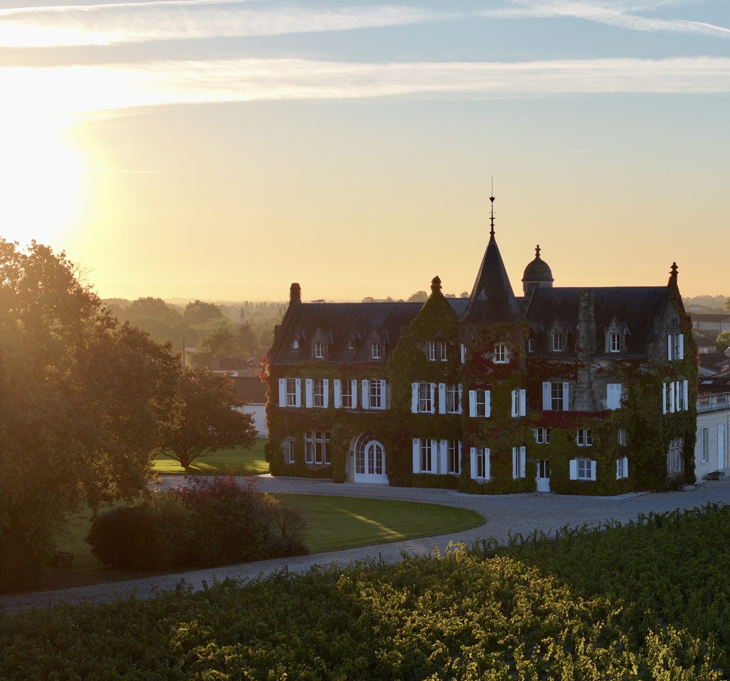 Valorisation de ceps de vignes en combustible biomasse à Margaux-Cantenac — 1