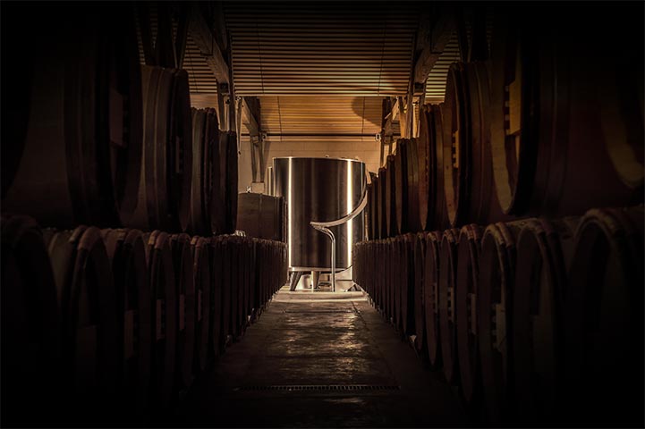 Valorisation énergétique de ceps de vignes à Sauternes — 1