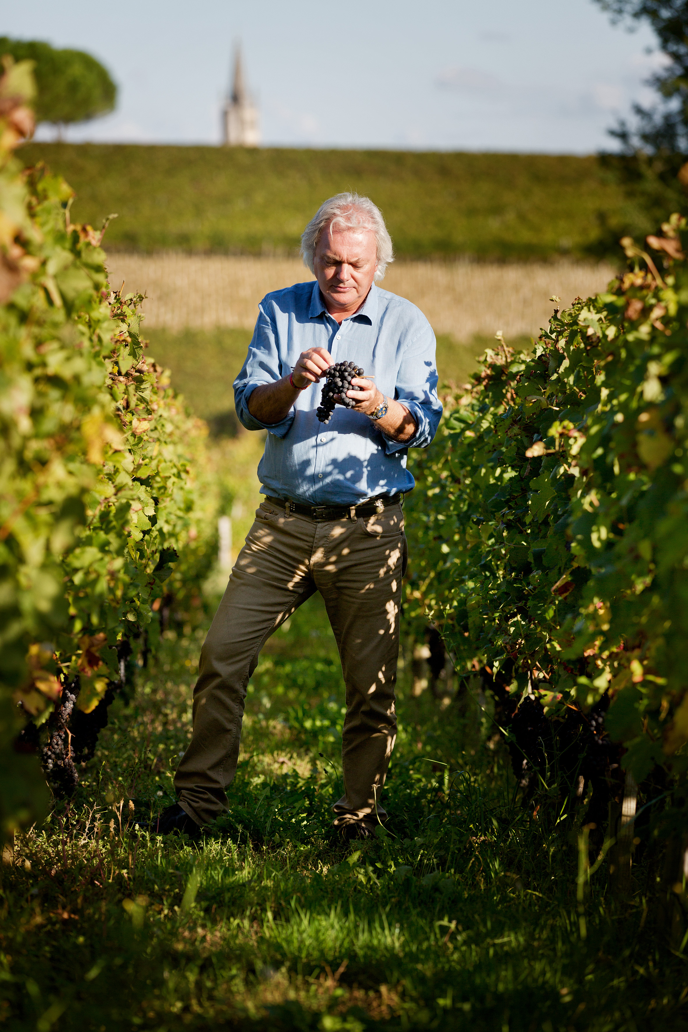 Using vines as biomass fuel in Saint-Emilion — 1