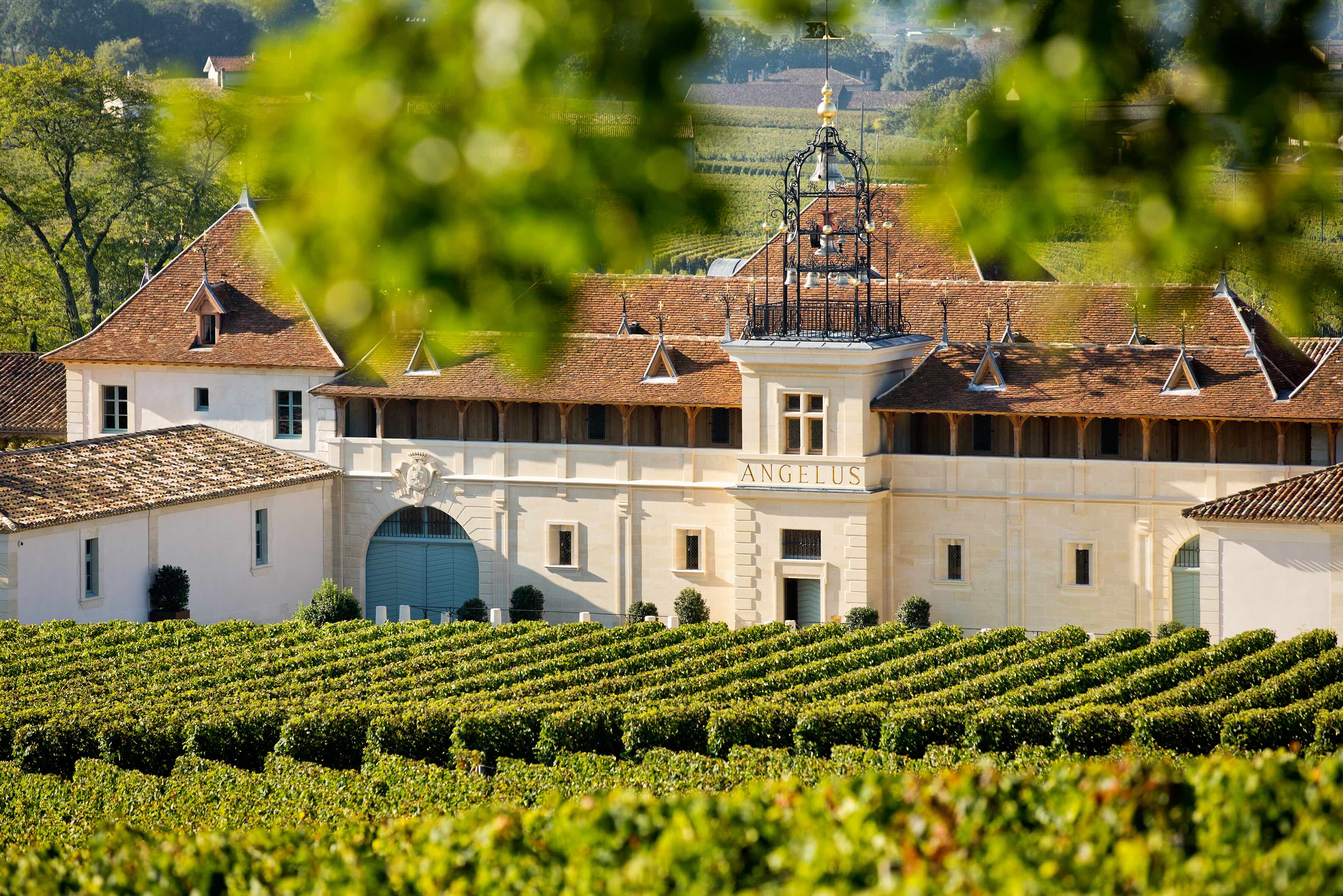 Using vines as biomass fuel in Saint-Emilion — 2