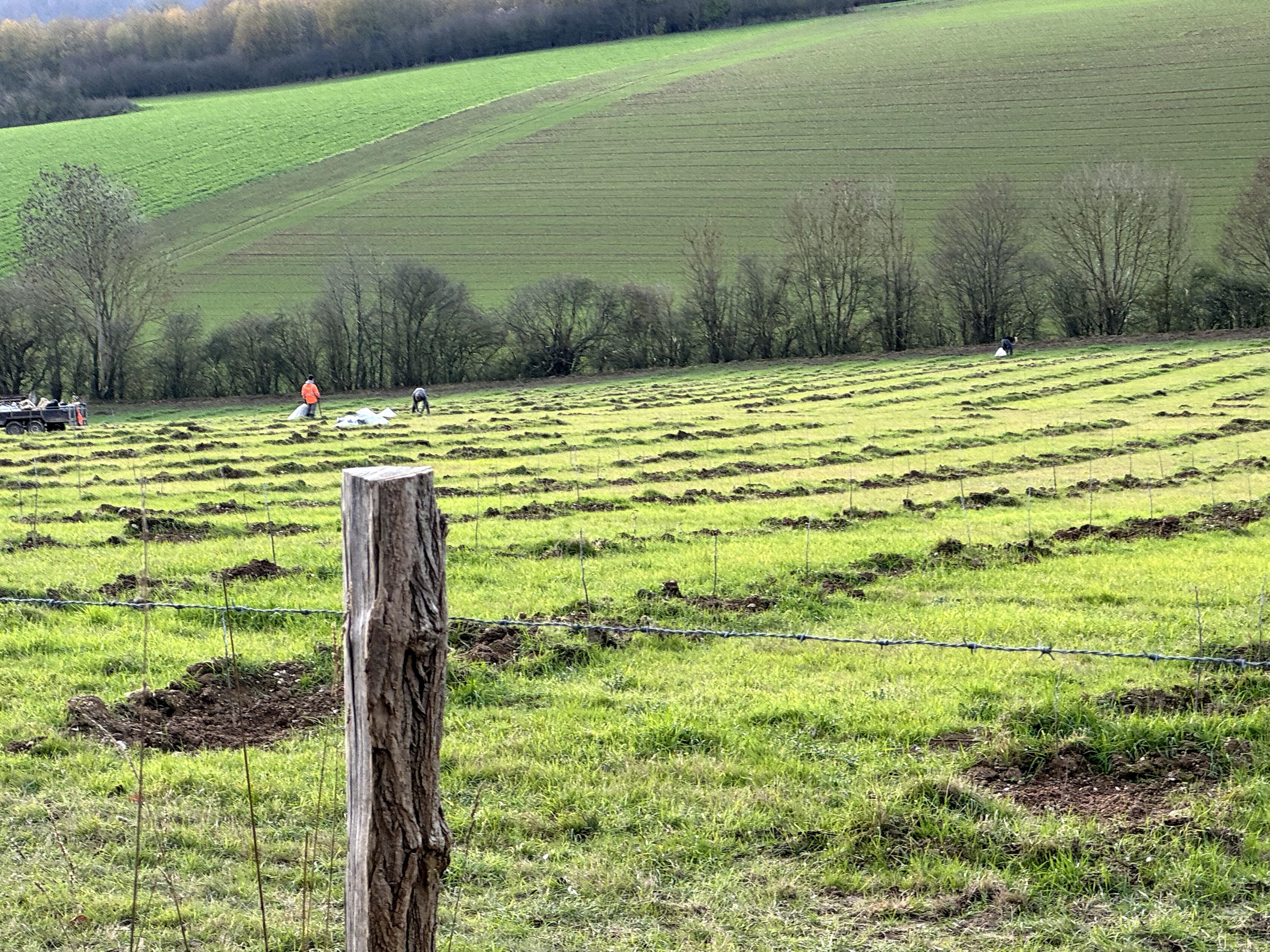 Extension de forêts à Auxi-le-Château