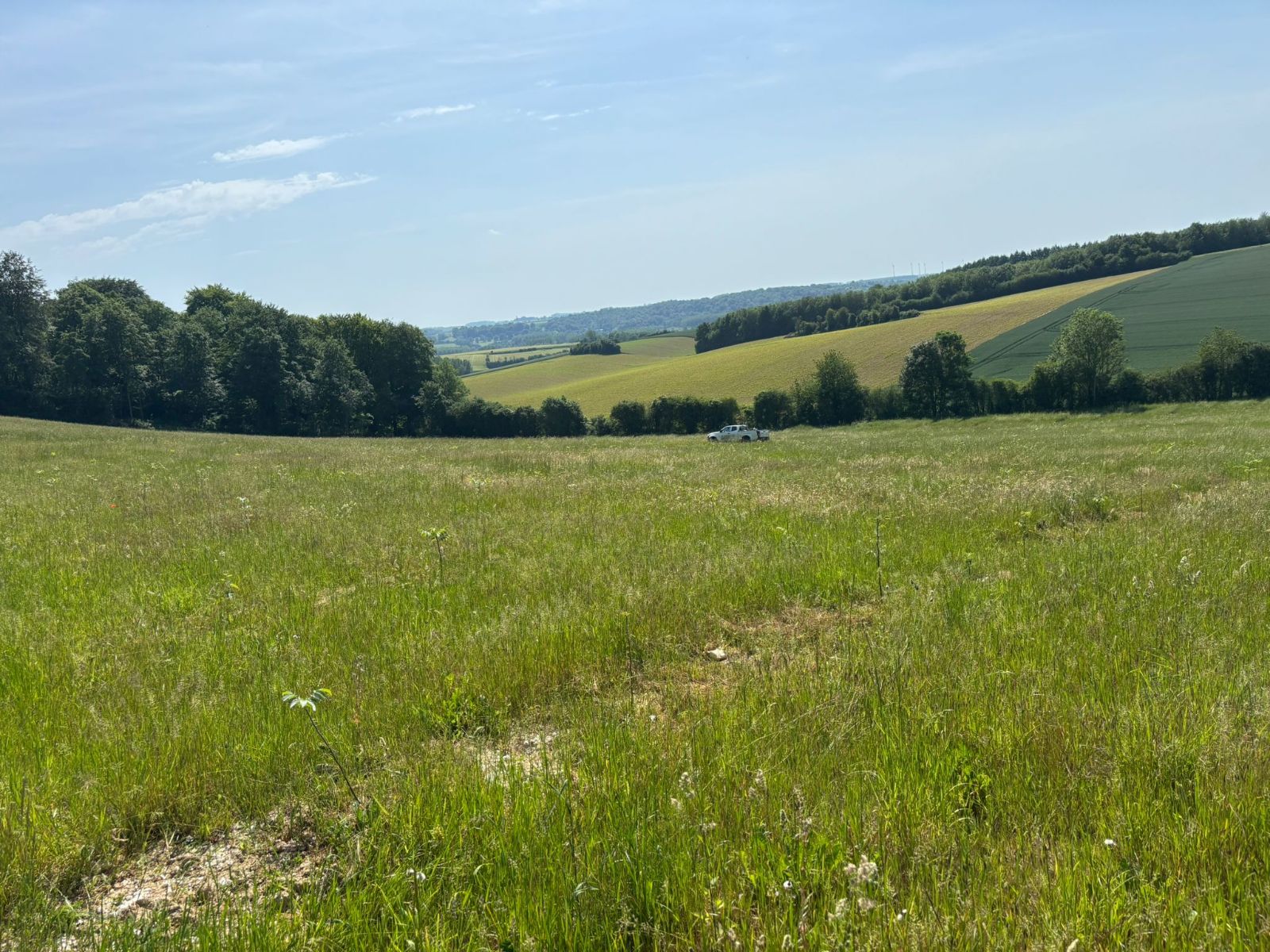 Extension de forêts à Auxi-le-Château — 2