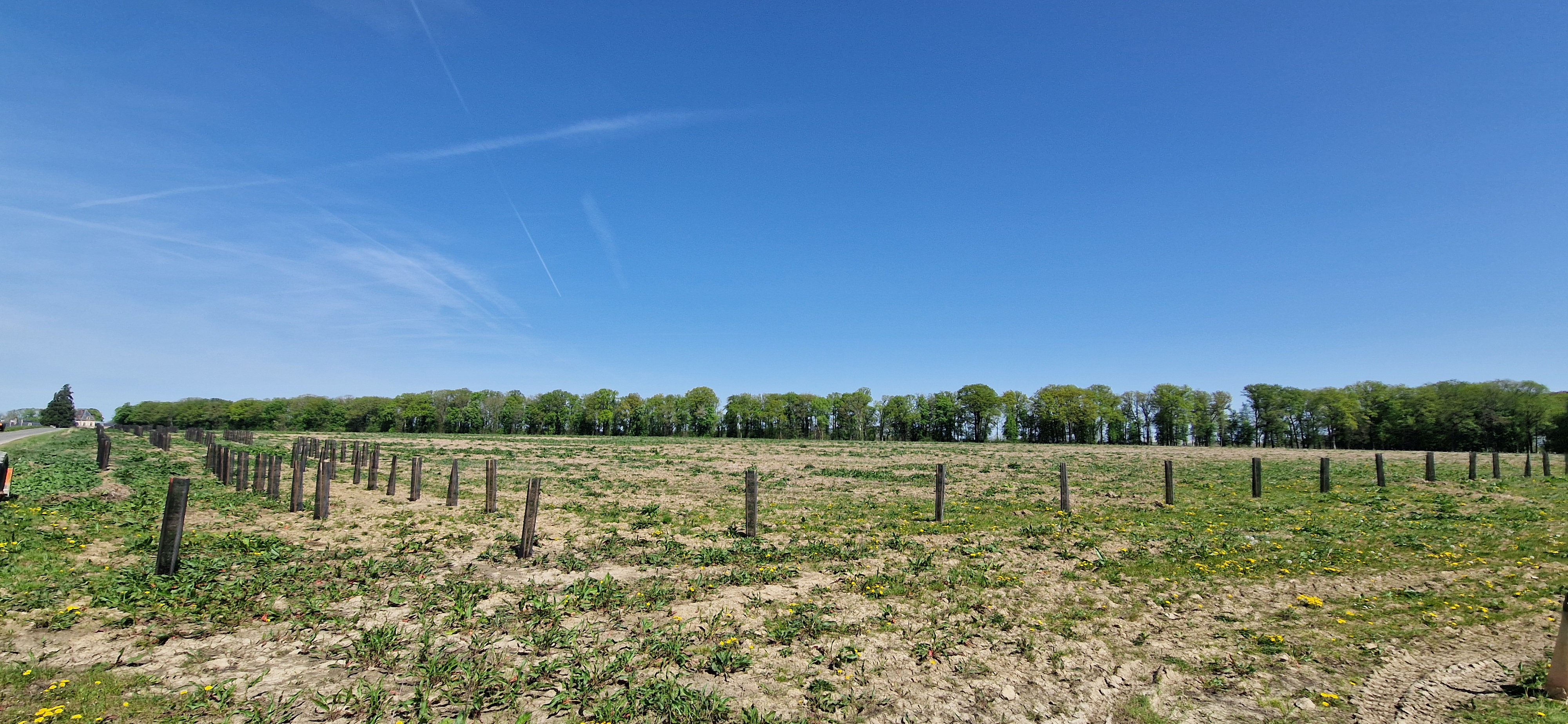 Création de forêts autour du Château de Baronville — 2