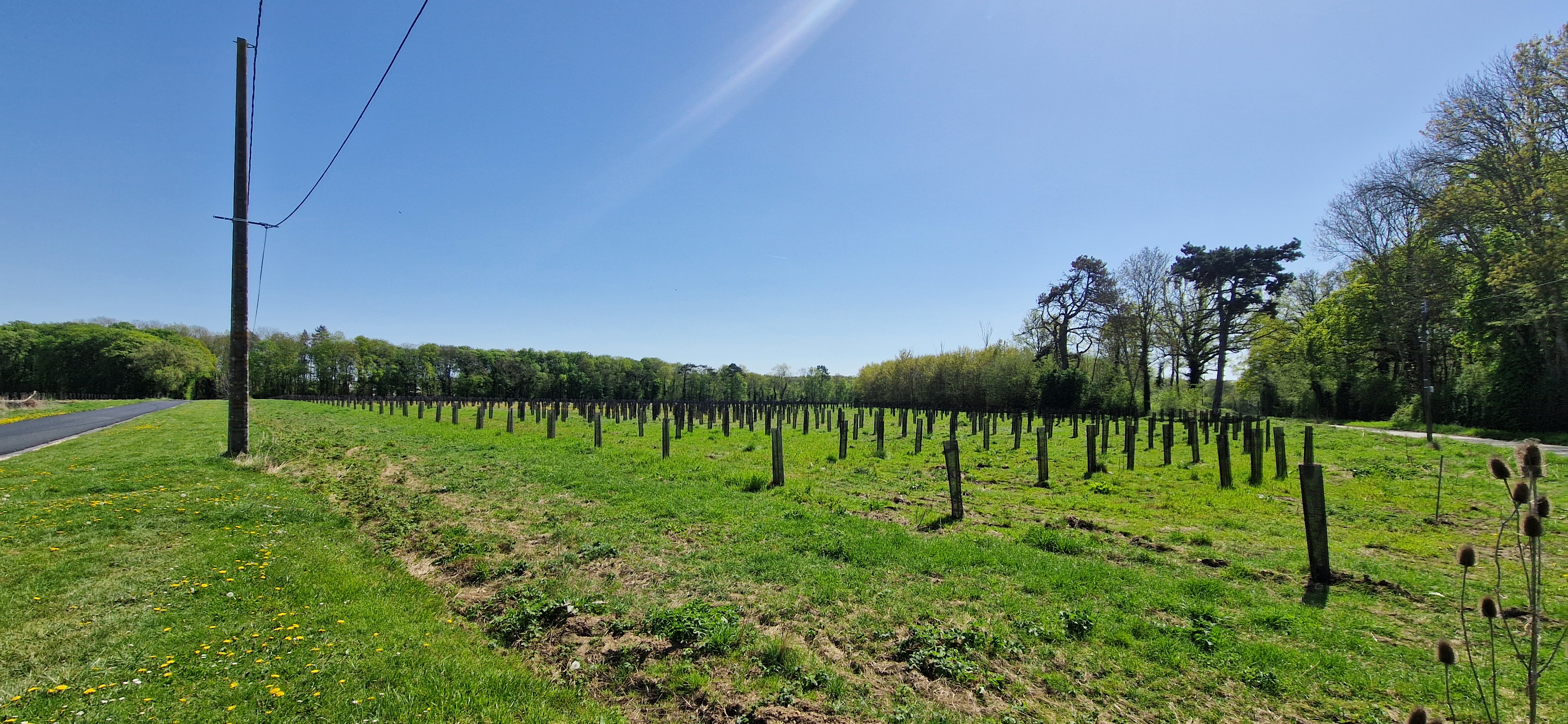 Création de forêts autour du Château de Baronville