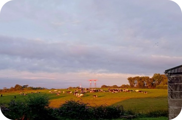 Projet CarbonAgri en Bretagne à Guengat — 1