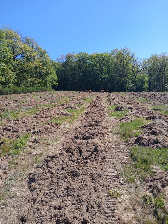 Boisement de parcelles agricoles peu valorisées en Côte d'Or — 2