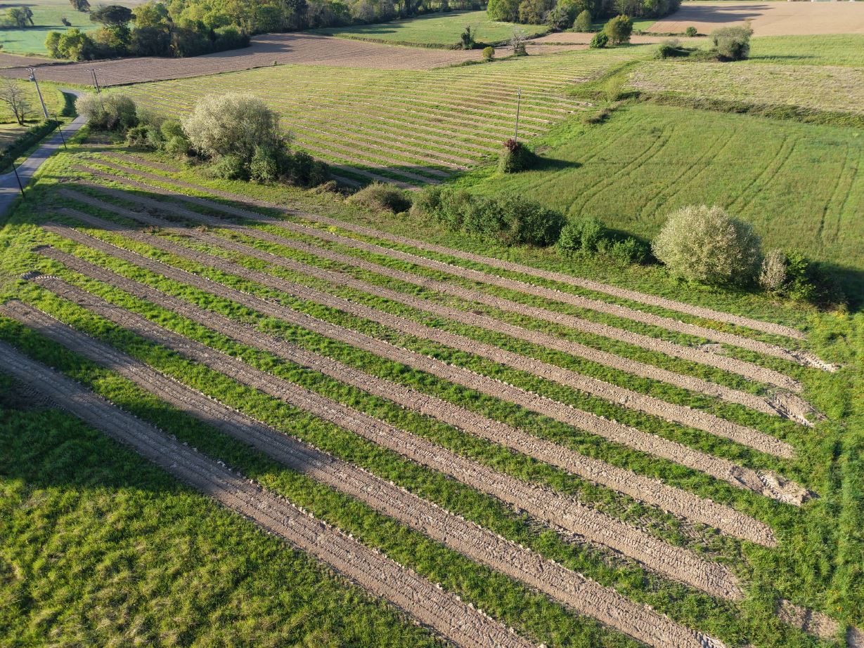 New afforestation of 2.56 hectares in Sainte-Colombe — 1