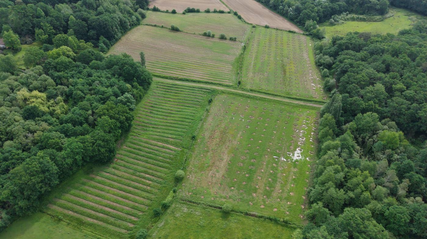 Création de 5,67 hectares de forêts à Sainte-Colombe — 1