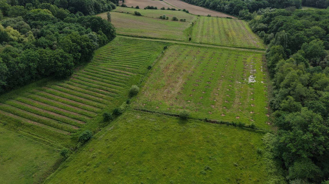 Création de 5,67 hectares de forêts à Sainte-Colombe — 2
